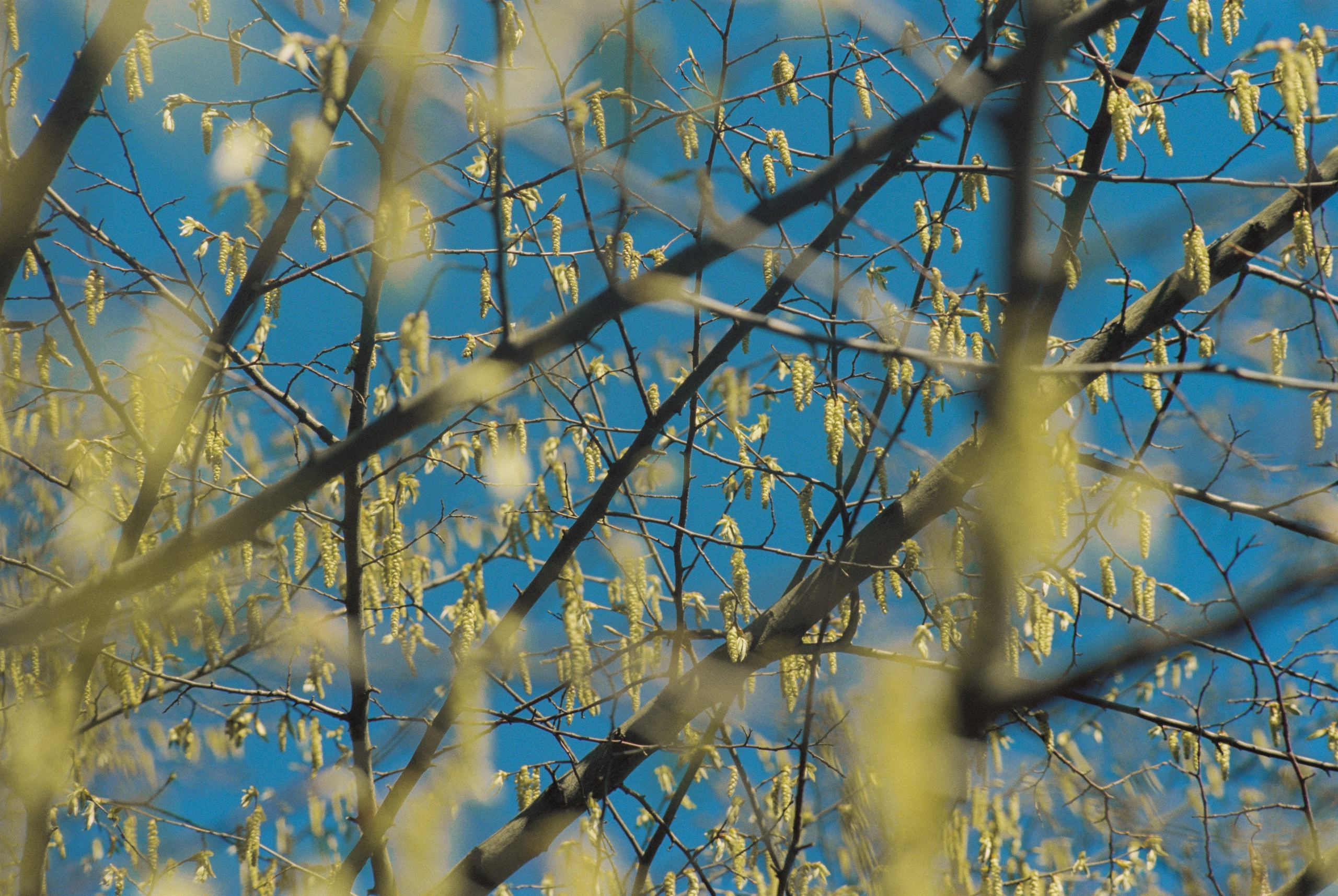 Плёночная весна 2025. Илья Михачёв Фотограф ПРО людей