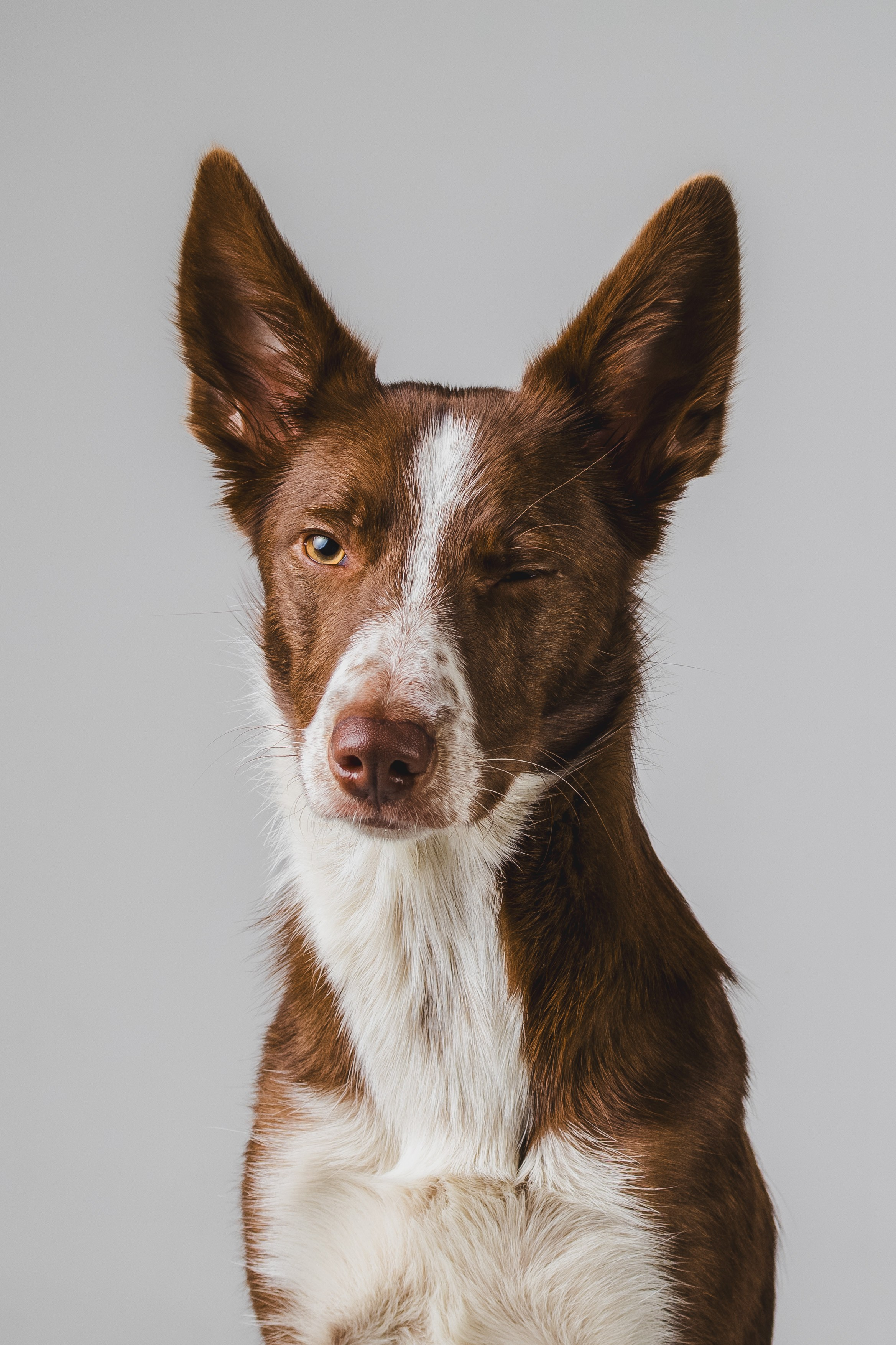 Воркшоп по импульсному свету