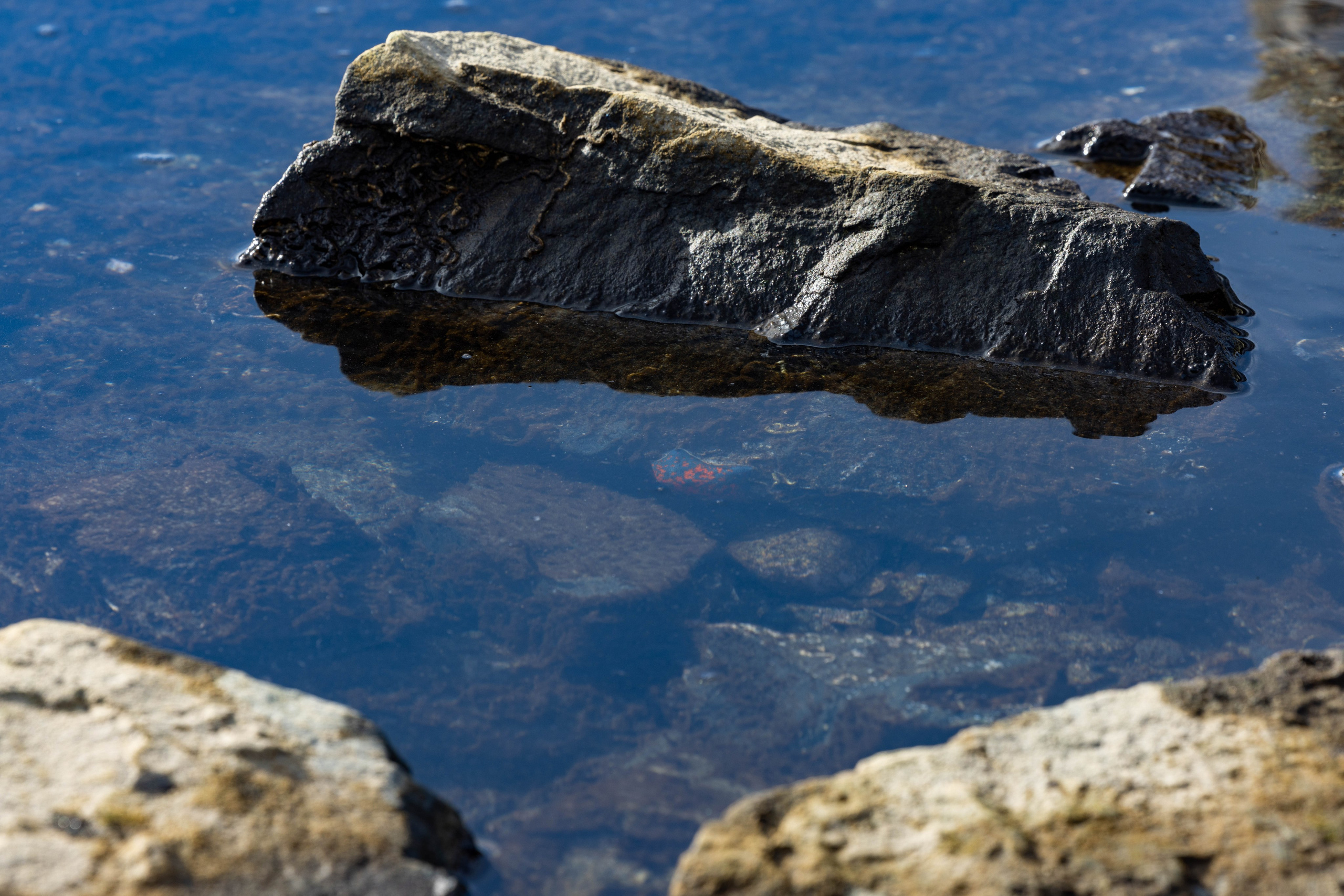 Мыс Каменского. Турист оптимист