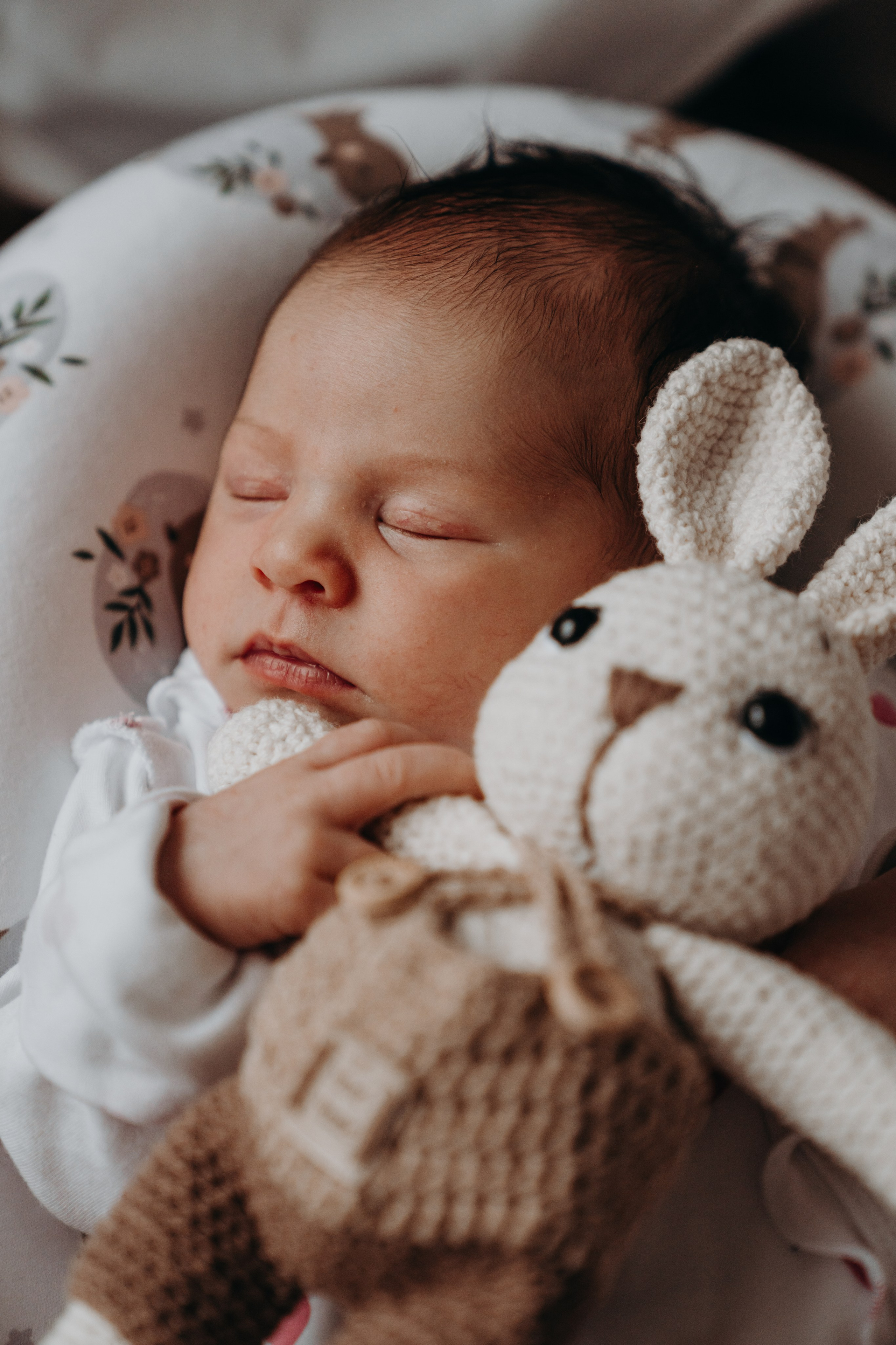 Дом там, где семья. Фотограф Алена Нормальная в Санкт-Петербурге