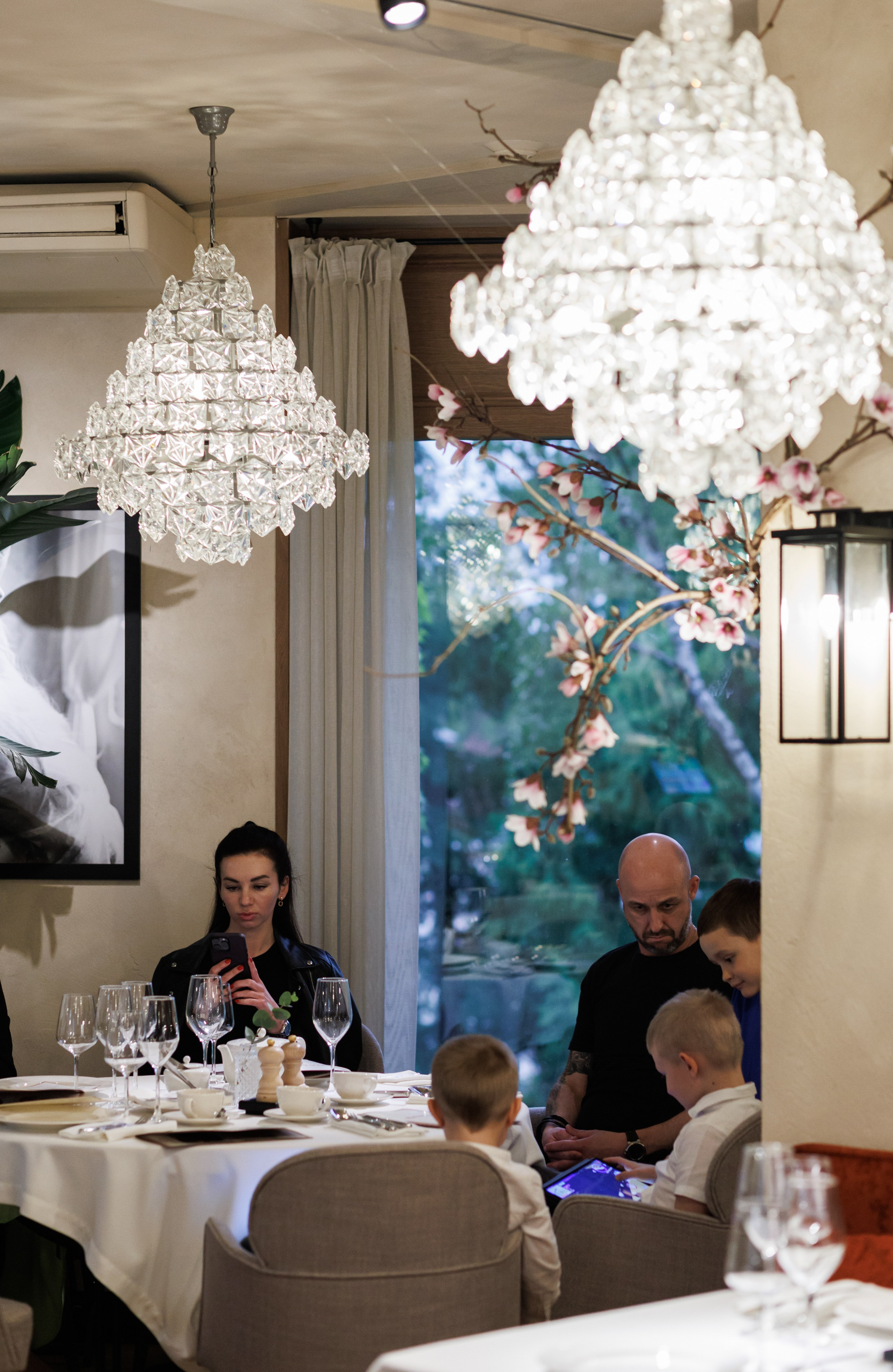 Бархат Винный вечер. Https://andreysolodov.ru