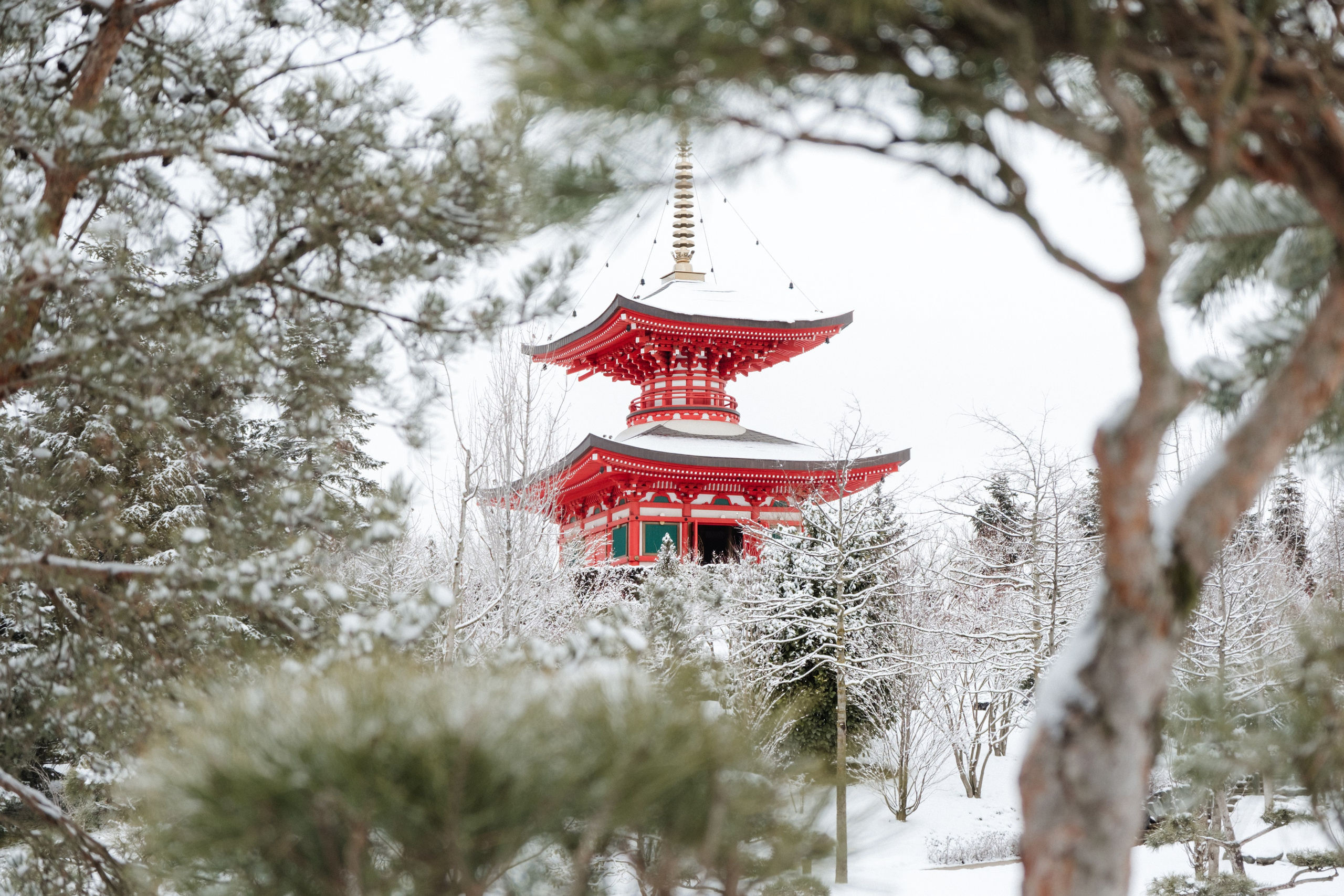Japanese Garden in Krasnodar. Ekaterina Symidi. Interior Photographer