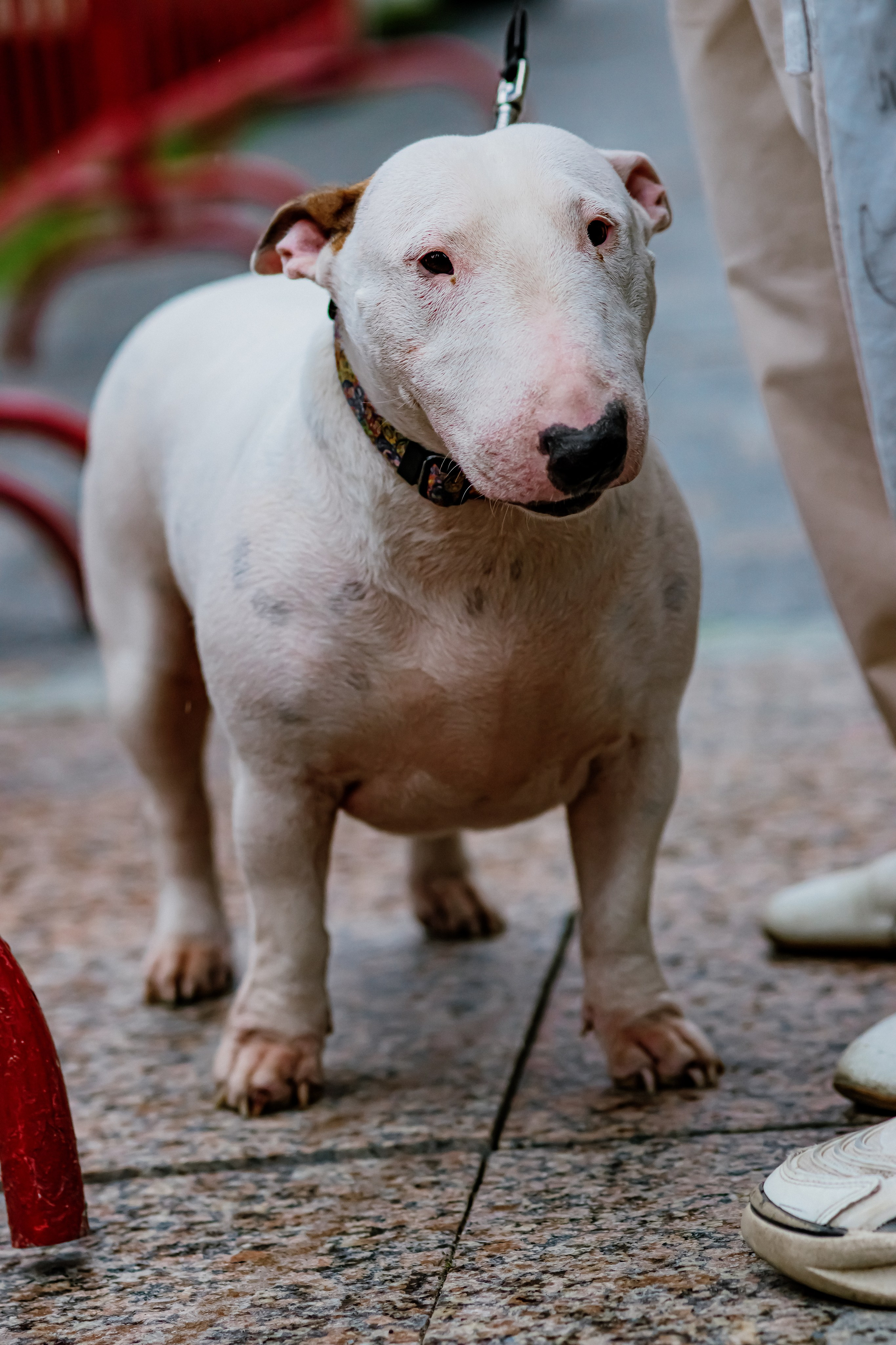 Ночь музыки Екатеринбург 07 / 2025. ФОТОГРАФ ЕКАТЕРИНБУРГ