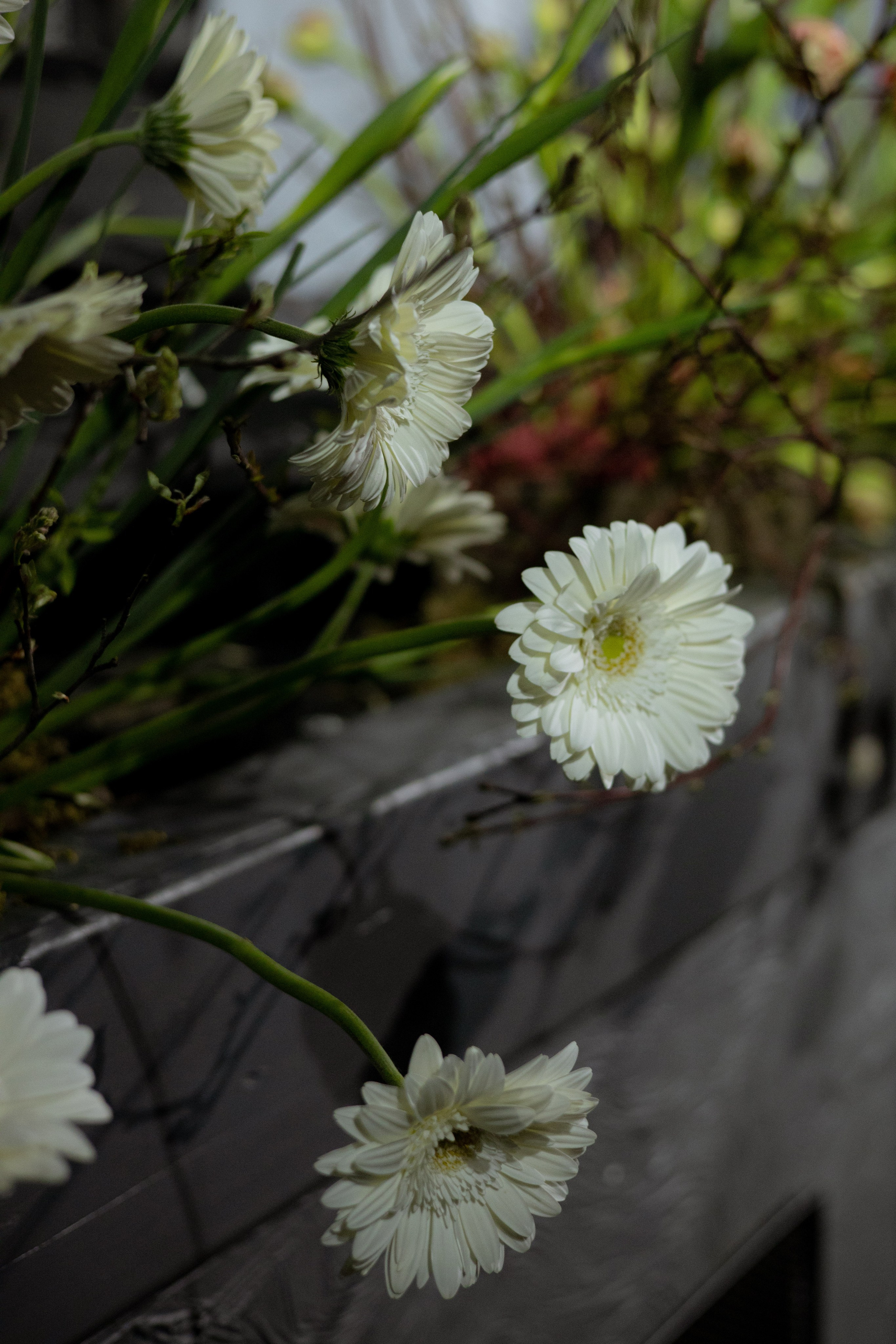 Оформление Отчетного концерта Музыкальной школы Глазунова. Оформление свадеб, декор свадеб Вера Маркова, Москва