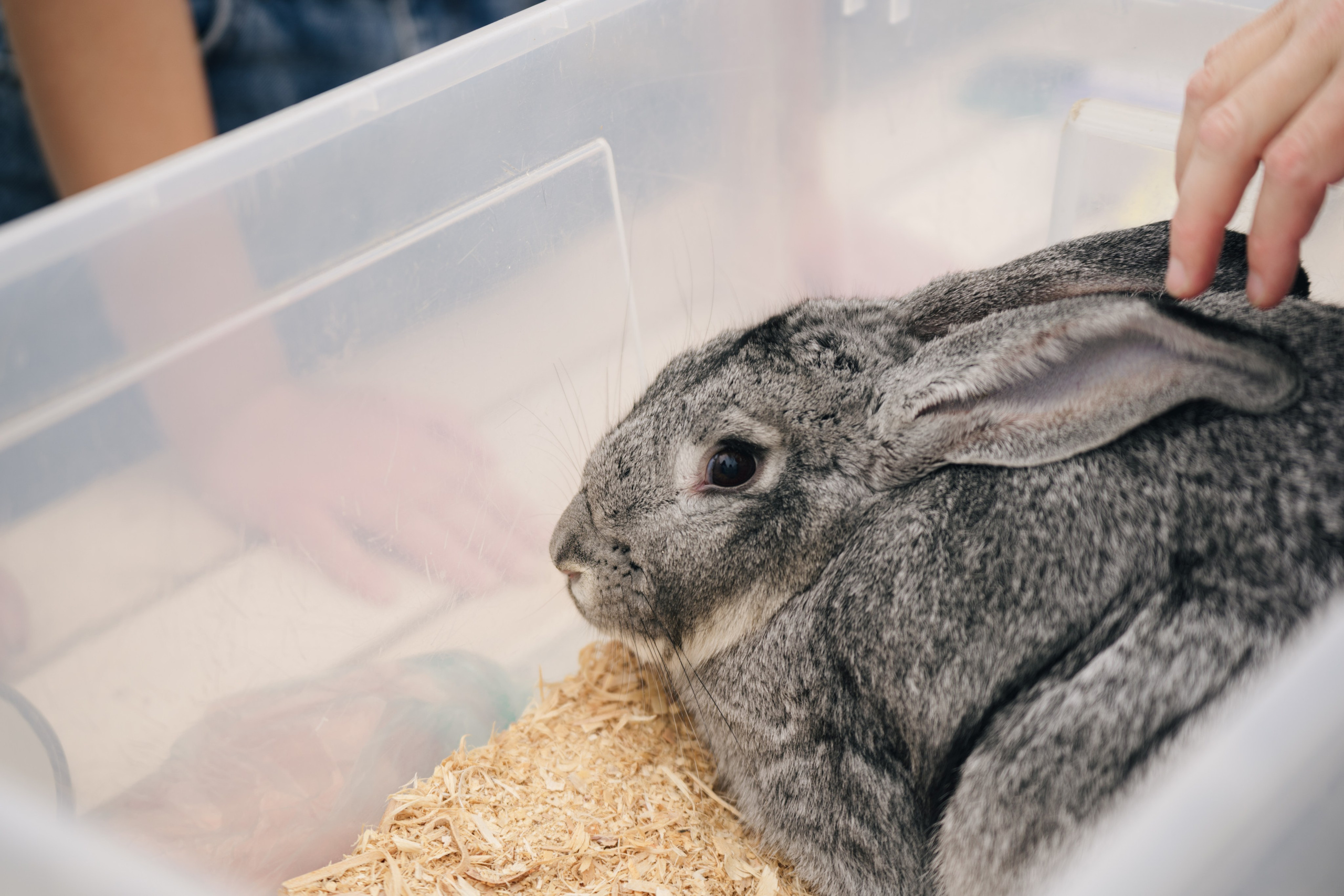 Развитие карьеры ДМ // 2023. Репортажный фотограф в Казани Виктория Трунова