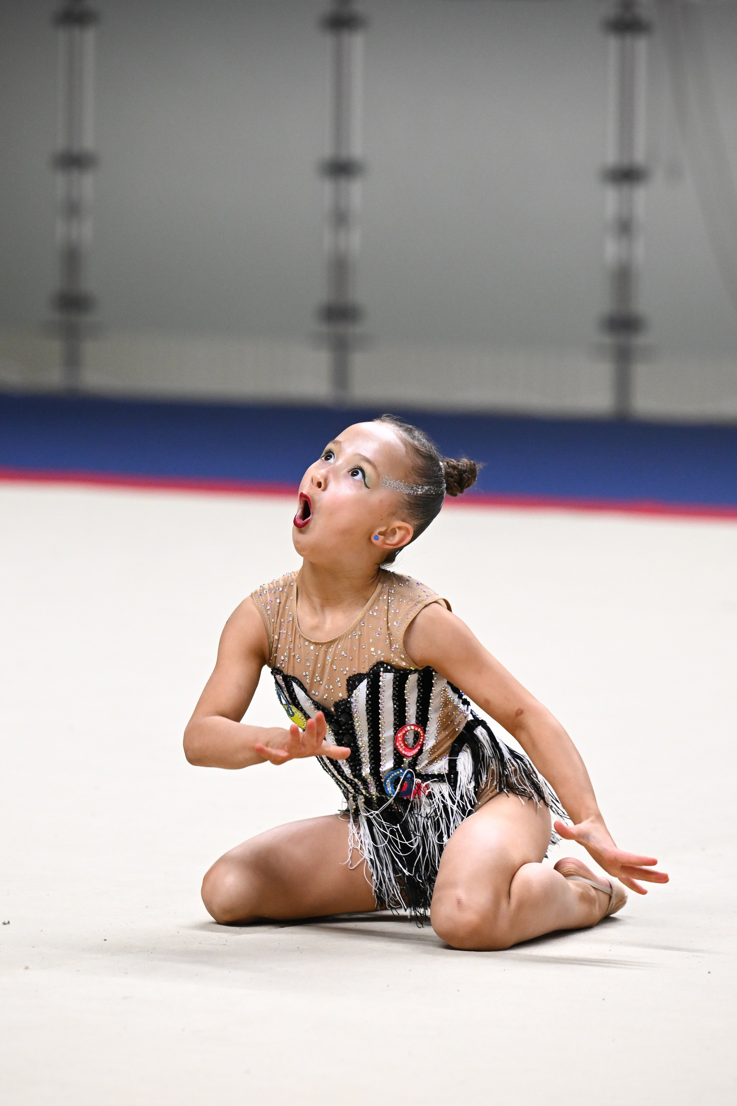 ФОТОВИДЕОСПОРТ. Фото видео услуги на соревнованиях по художественной гимнастике. Видеотрансляция соревнований. Москва, ЦФО, ПФО