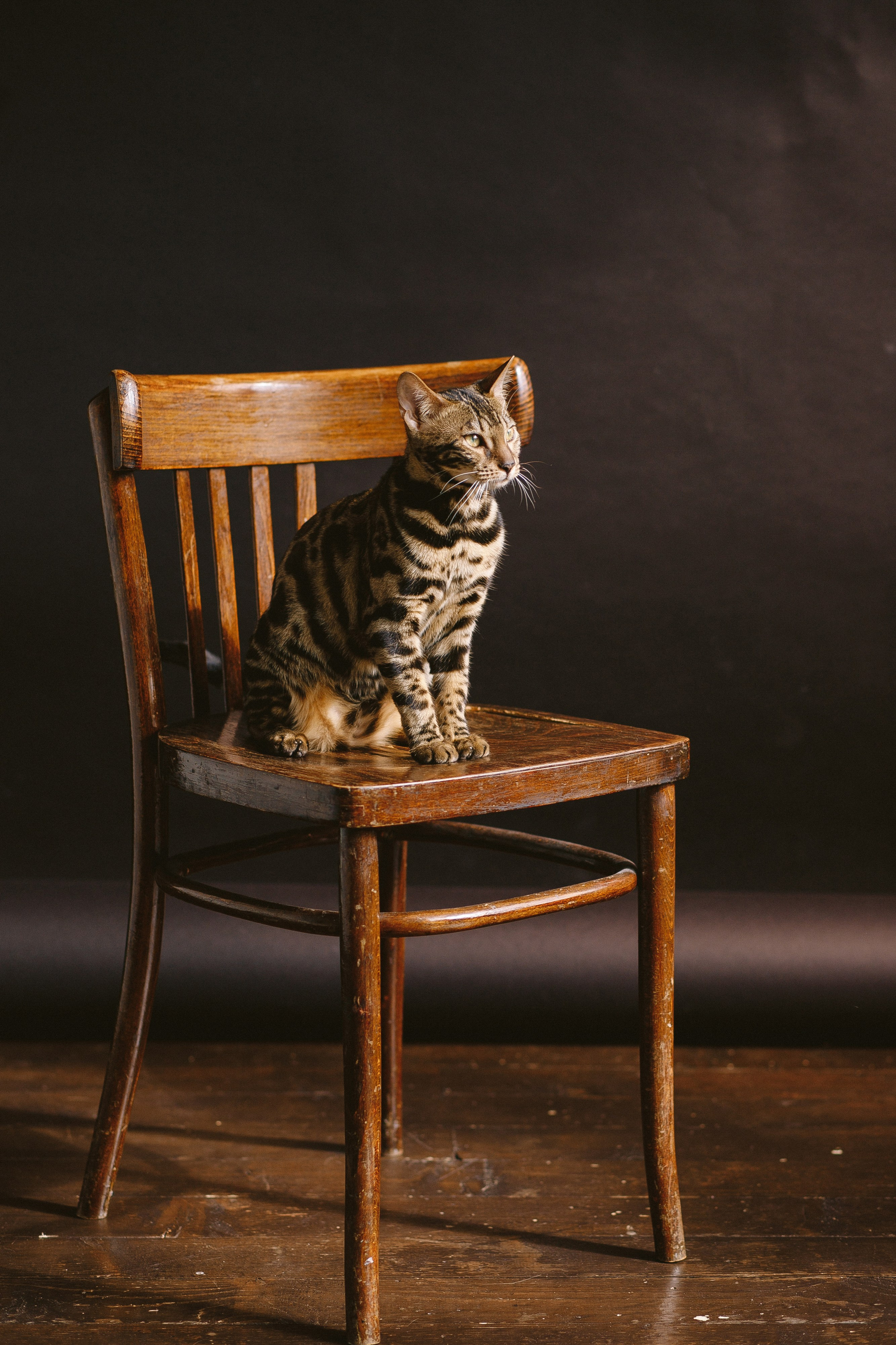 Лера с мамой, папой и Бусей