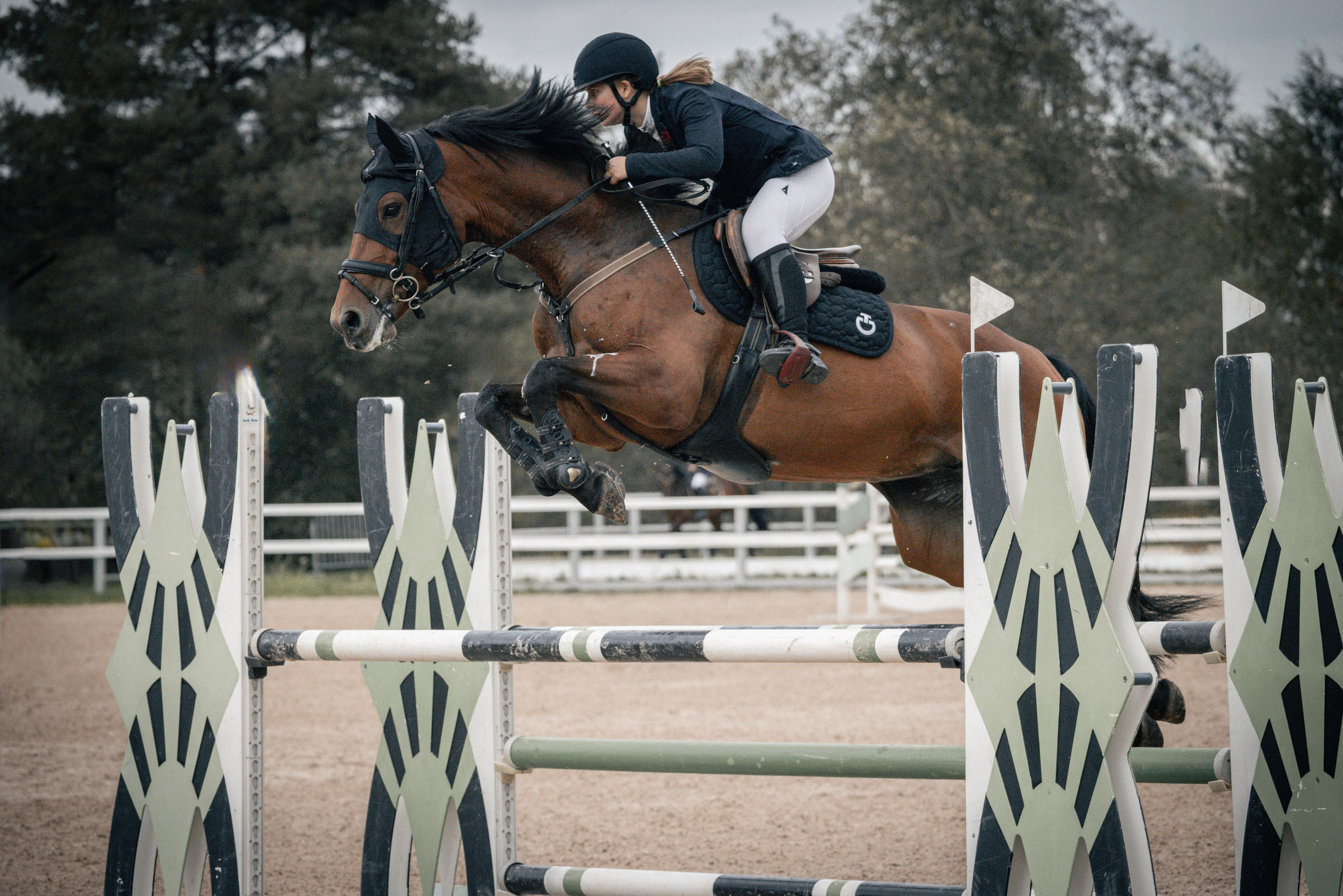 Лошади Евы Демидовой. Ева Демидова. Спортсмен по конкуру в Санкт-Петербуре