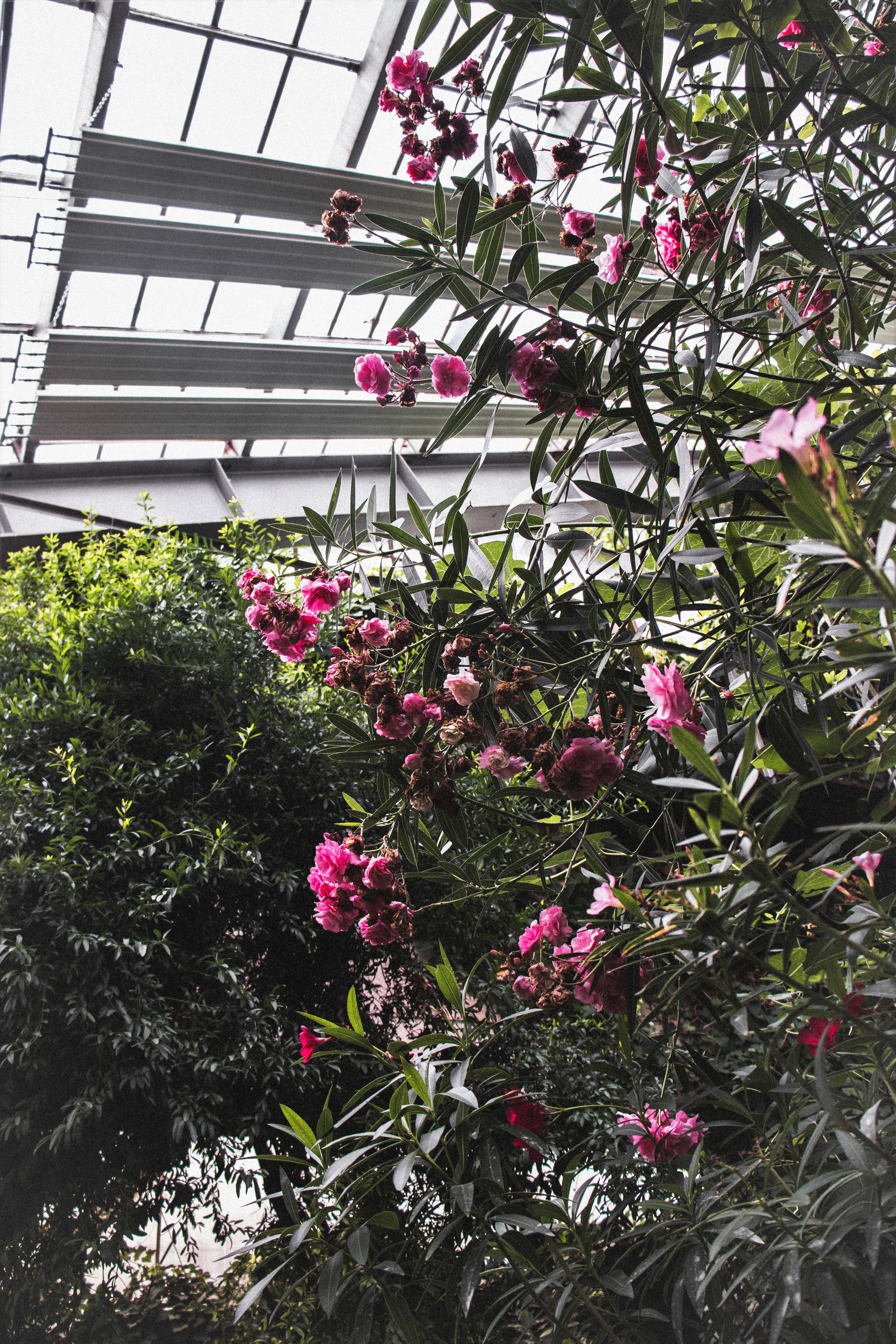 Фотограф Томск. Портретный фотограф Томск. Индивидуальная фотосессия Томск. Фотограф в Томске Дарья Пучкина