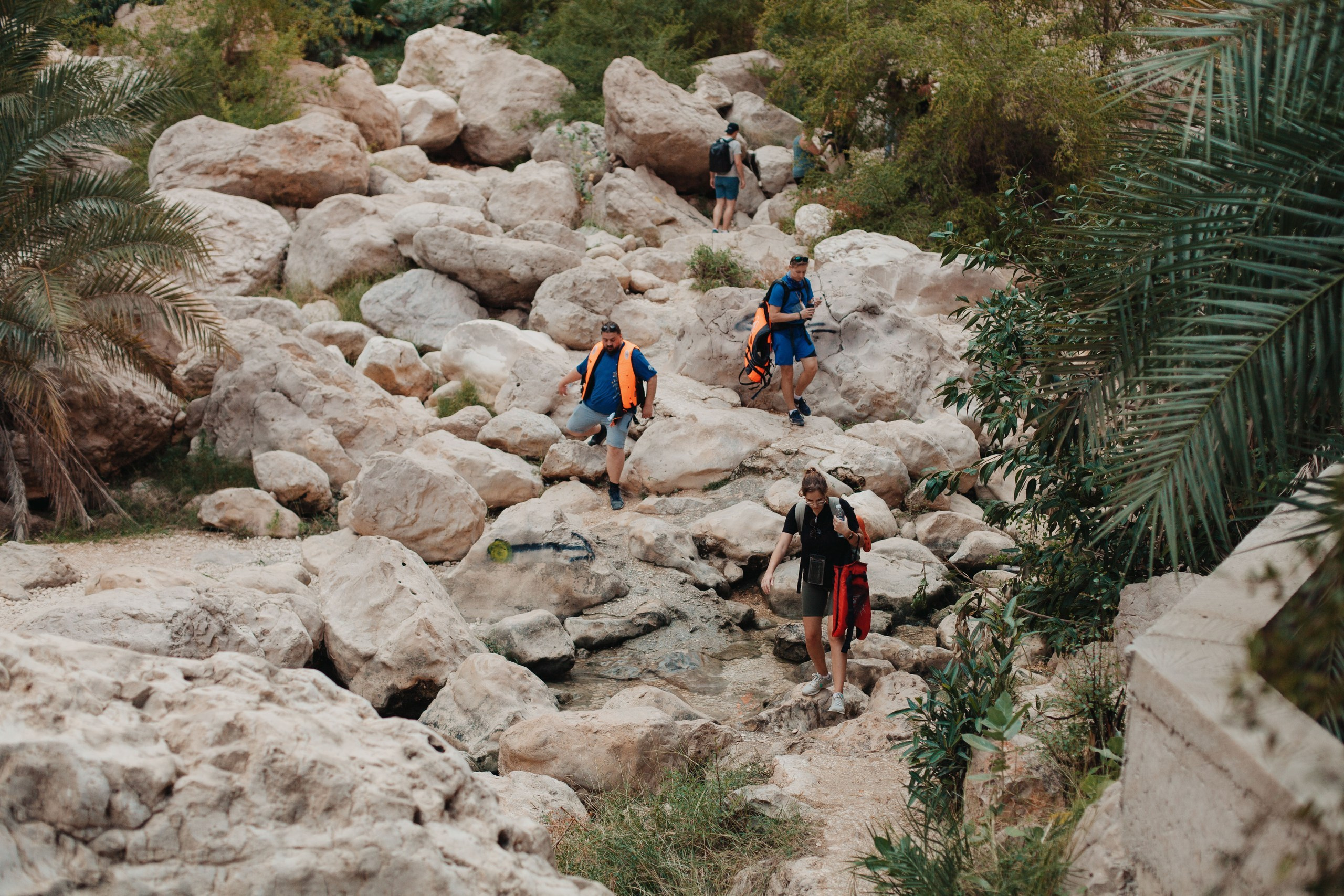 Оман. Сyber Genesis. Главная