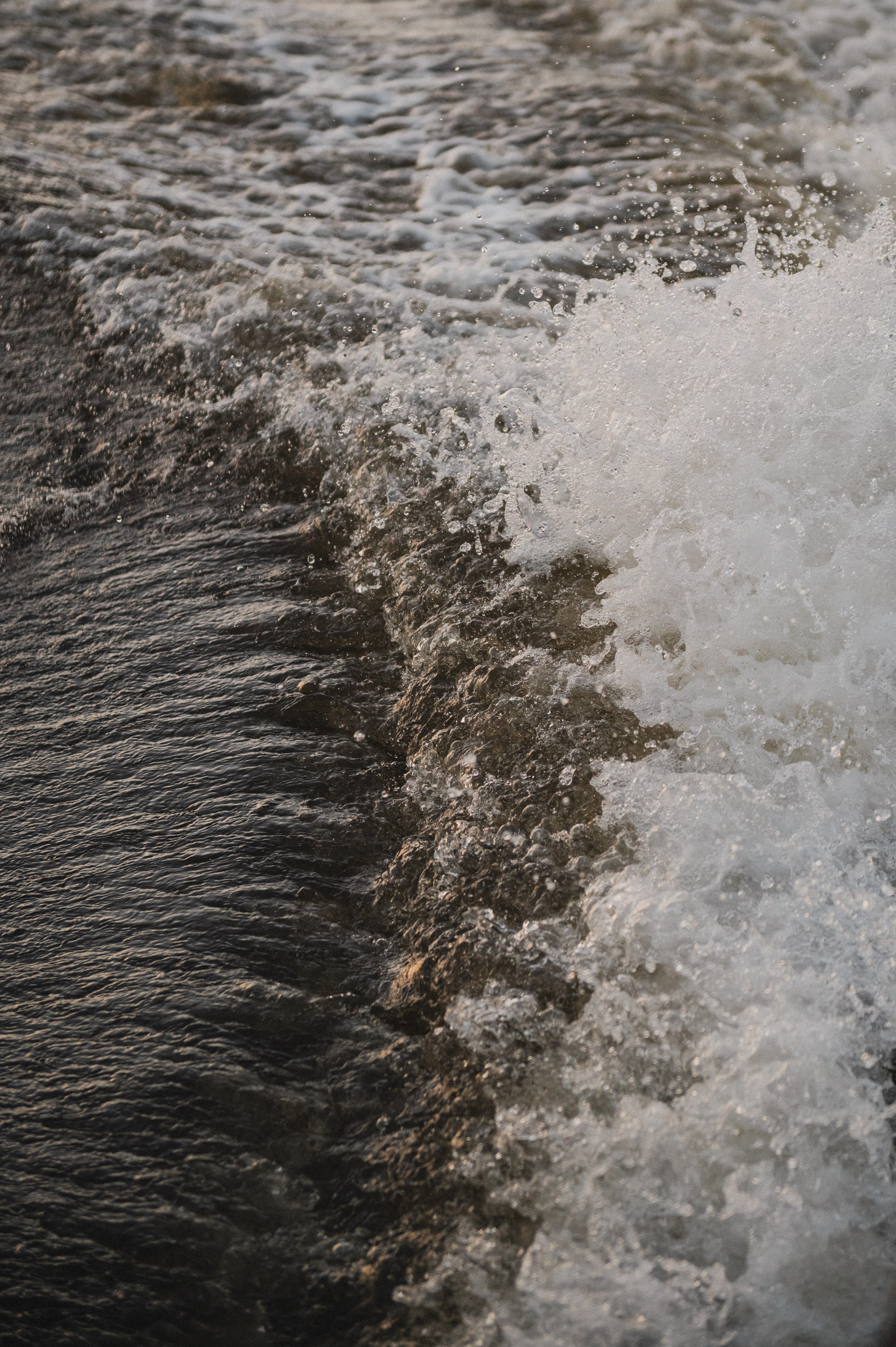 Походкины. Свадебный фотограф в Рязани Дзюрак Елизавета