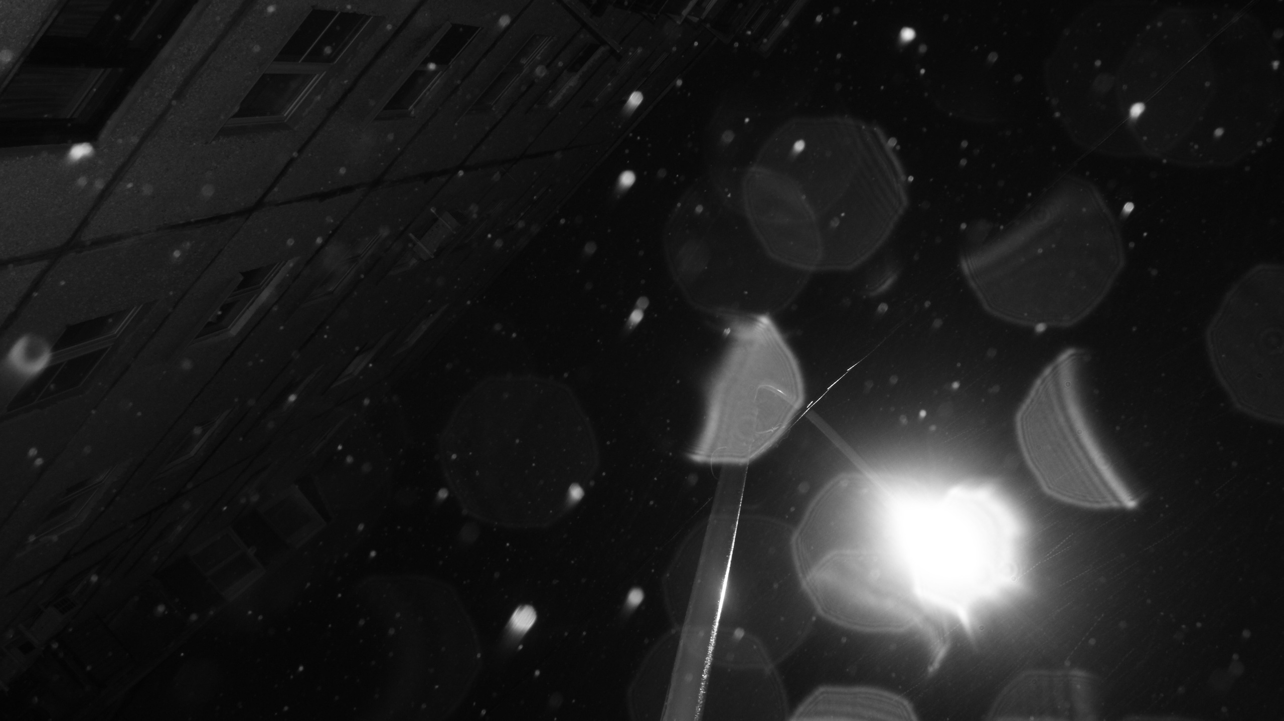 TMN winter '25 (wb). Фотограф/дизайнер в Екатеринбурге Хитрый Дмитрий