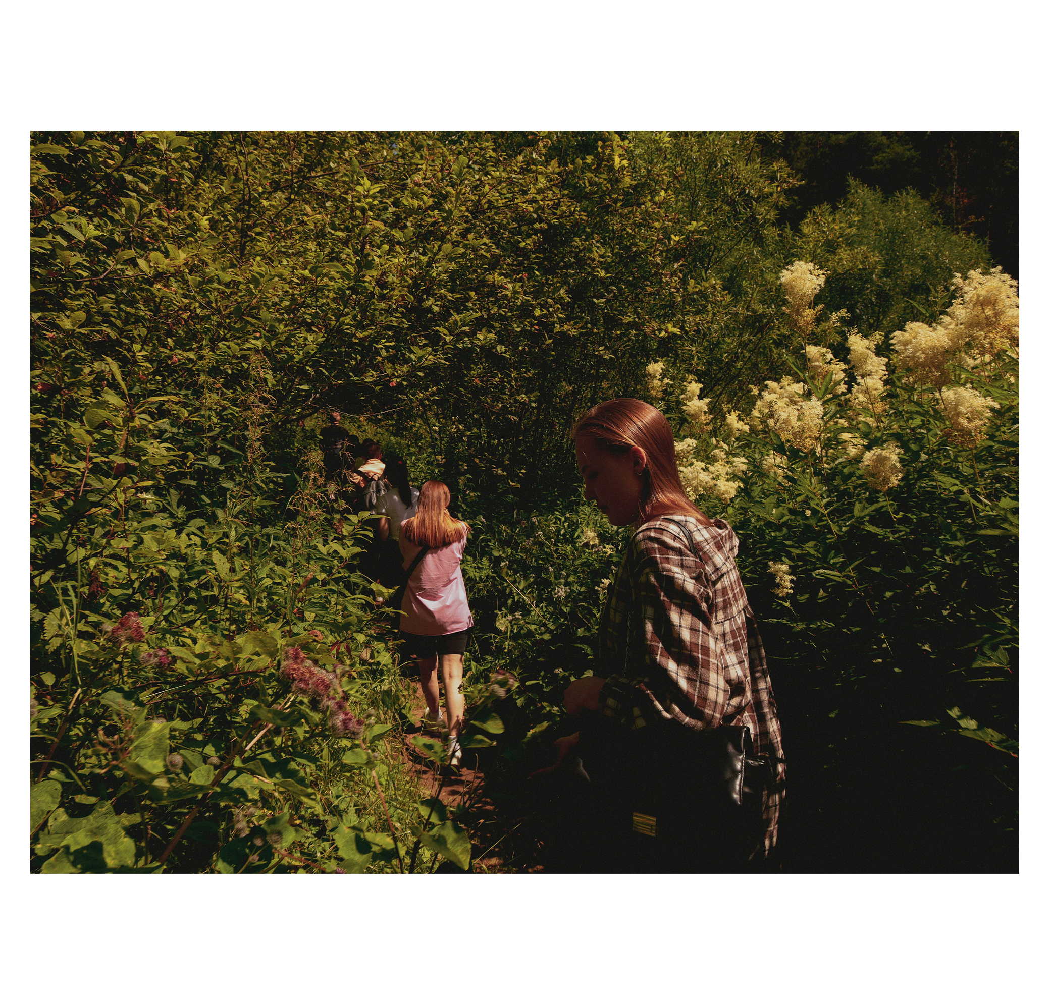 Summer hike. Фотограф/дизайнер в Екатеринбурге Хитрый Дмитрий