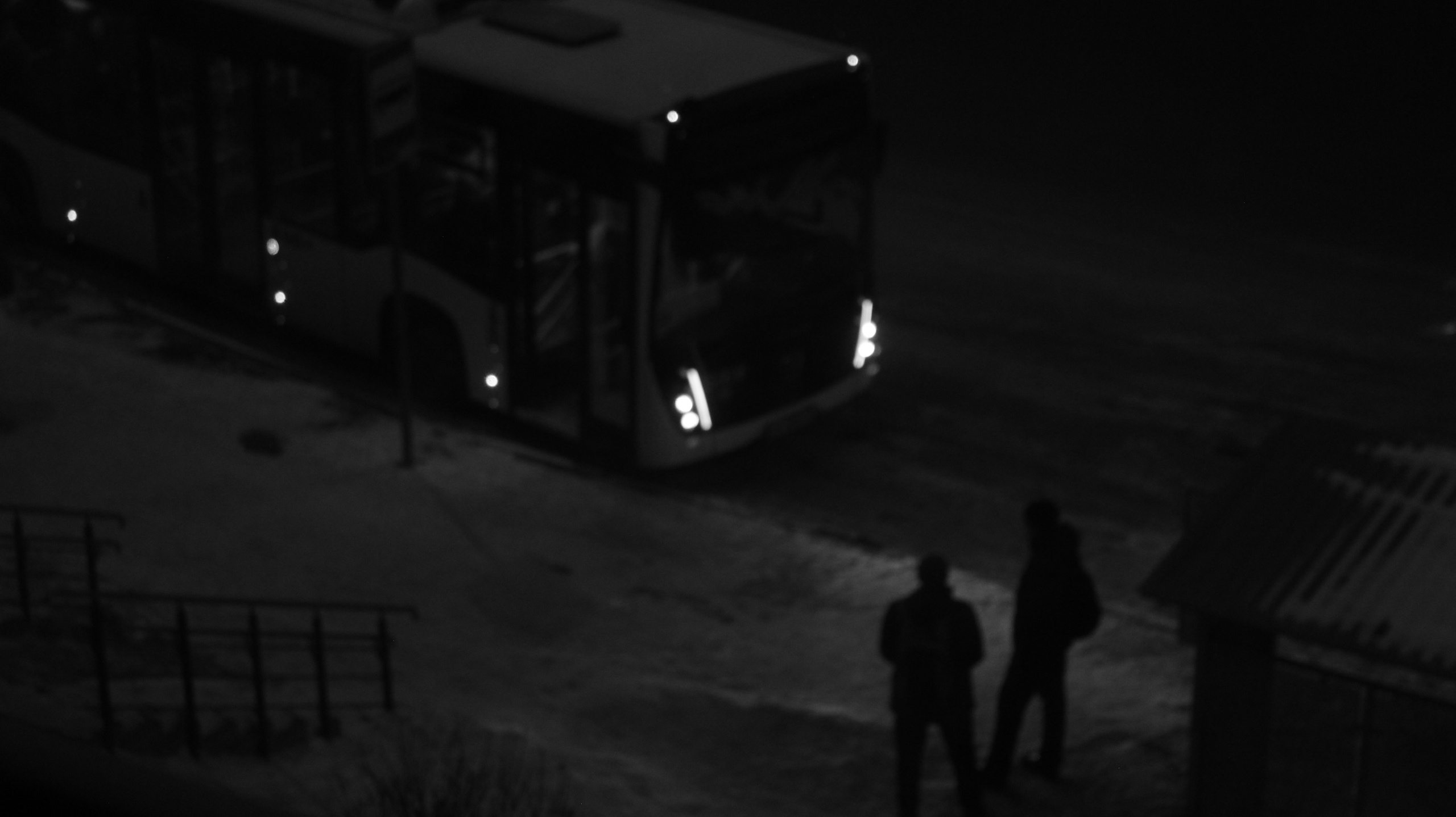 TMN winter '25 (wb). Фотограф/дизайнер в Екатеринбурге Хитрый Дмитрий