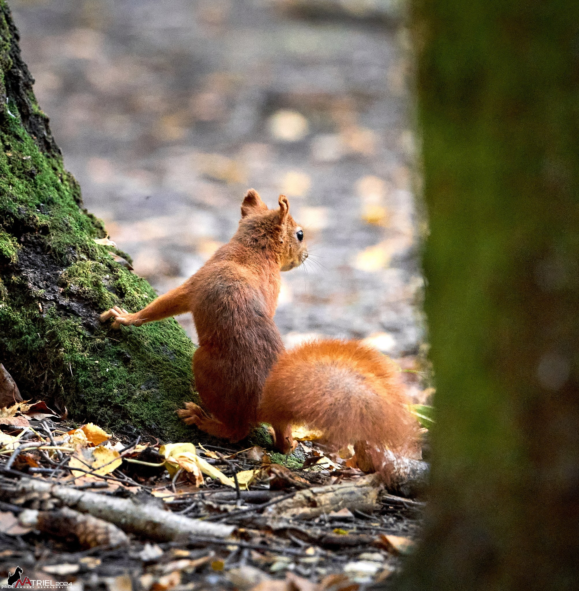 Фотопрогулка на природе