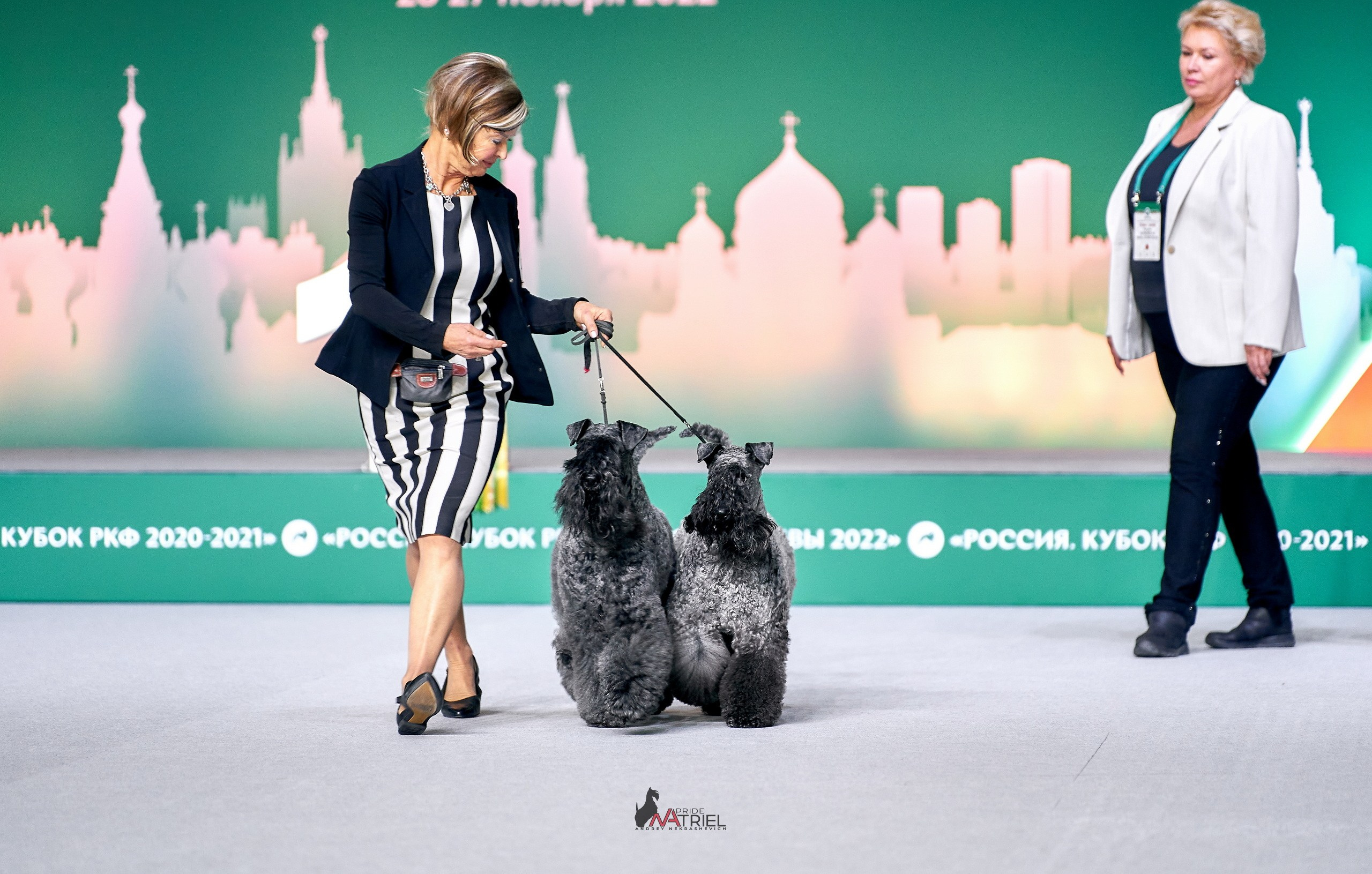 Работа в рингах — галерея NATRIEL