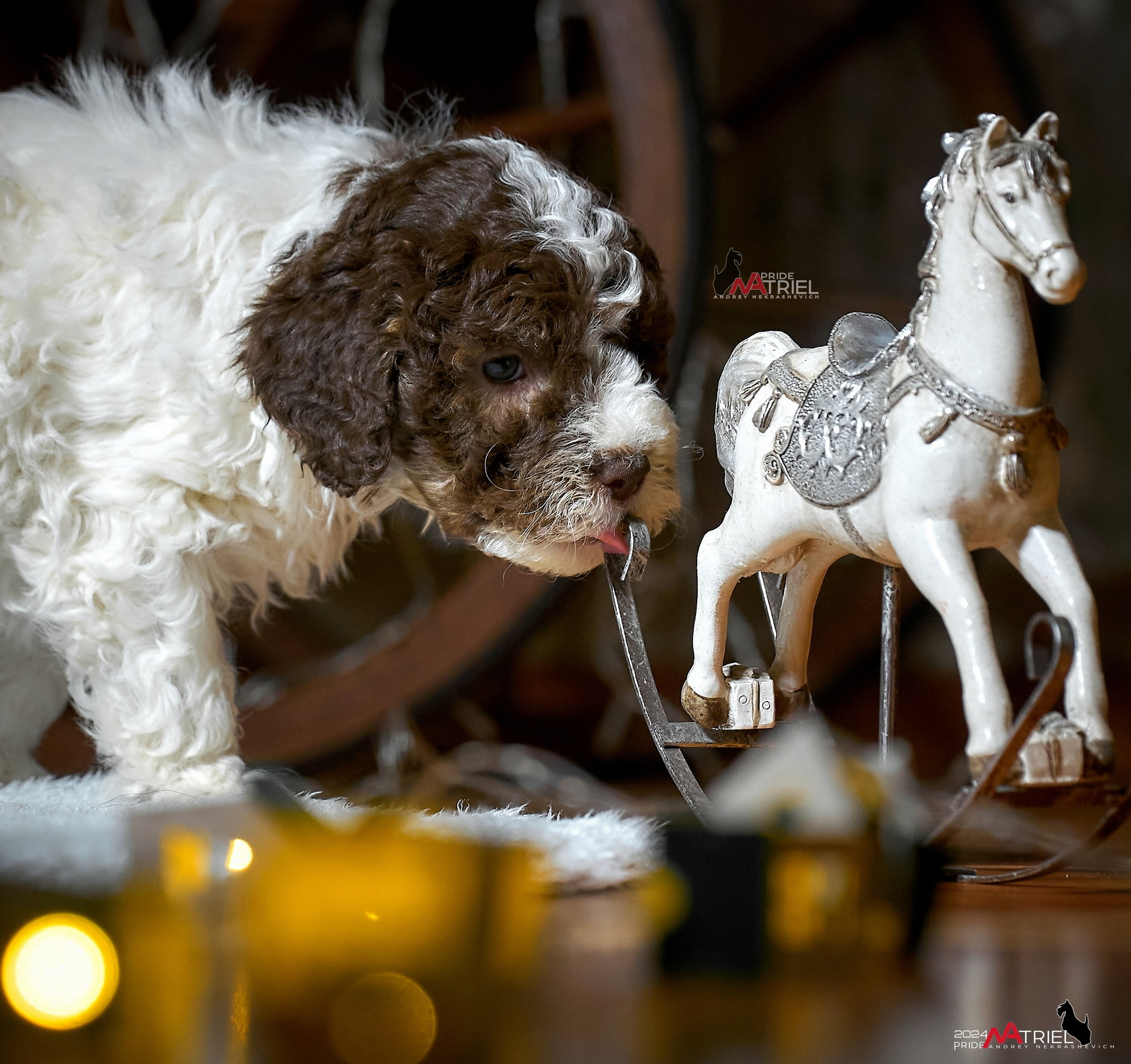 Щенки дома — галерея NATRIEL