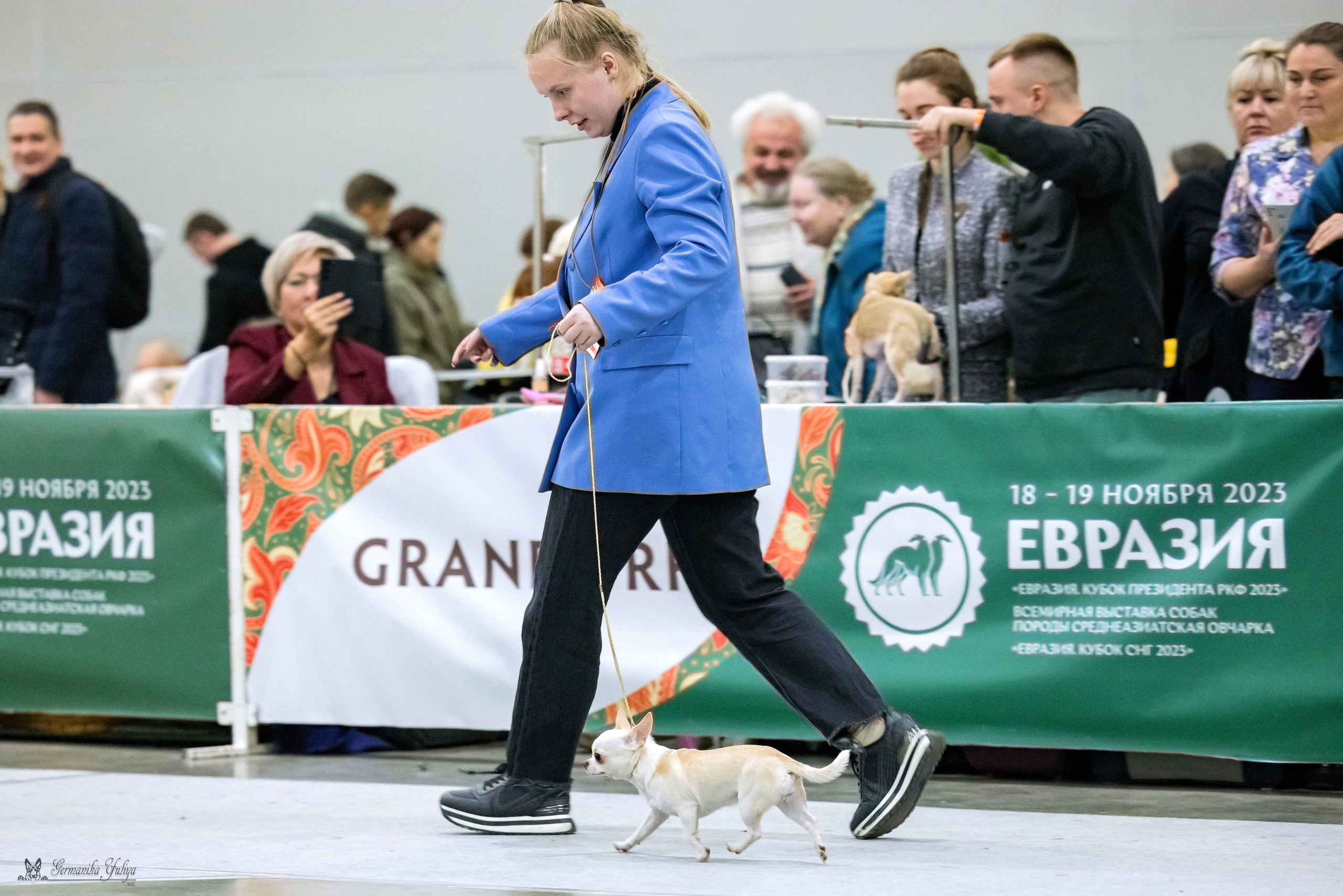 ЕВРАЗИЯ 18-19.11.2023. Фотограф-анималист Юлия Германика