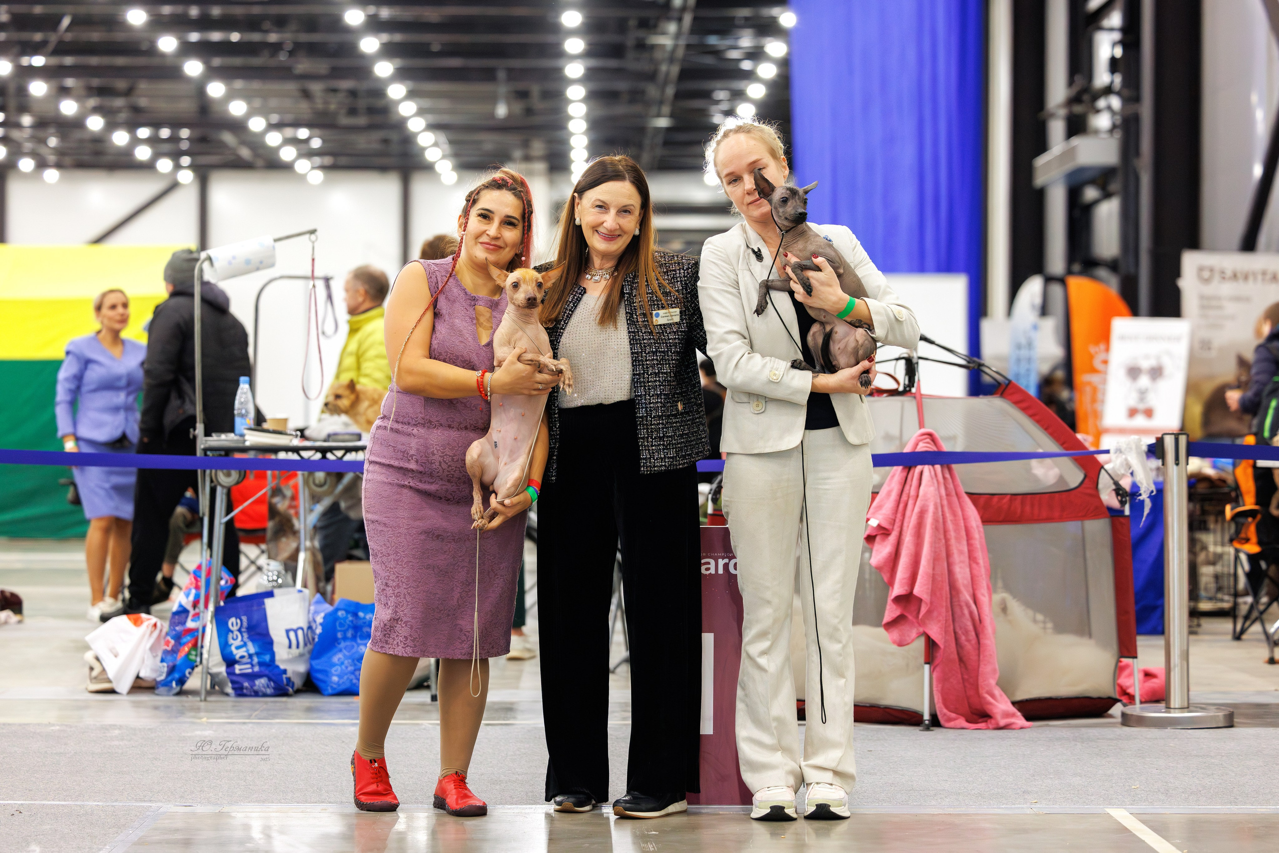 Питер 12-13.12.2025. Фотограф-анималист Юлия Германика