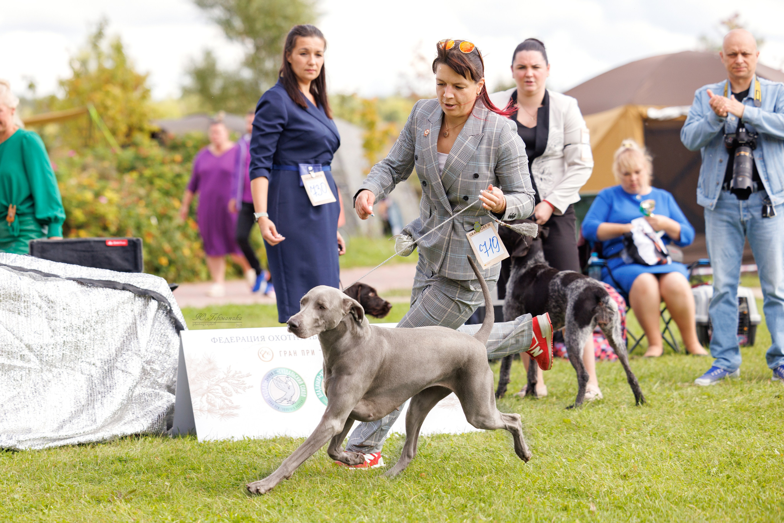 Переславль 5-7.08.2025. Фотограф-анималист Юлия Германика