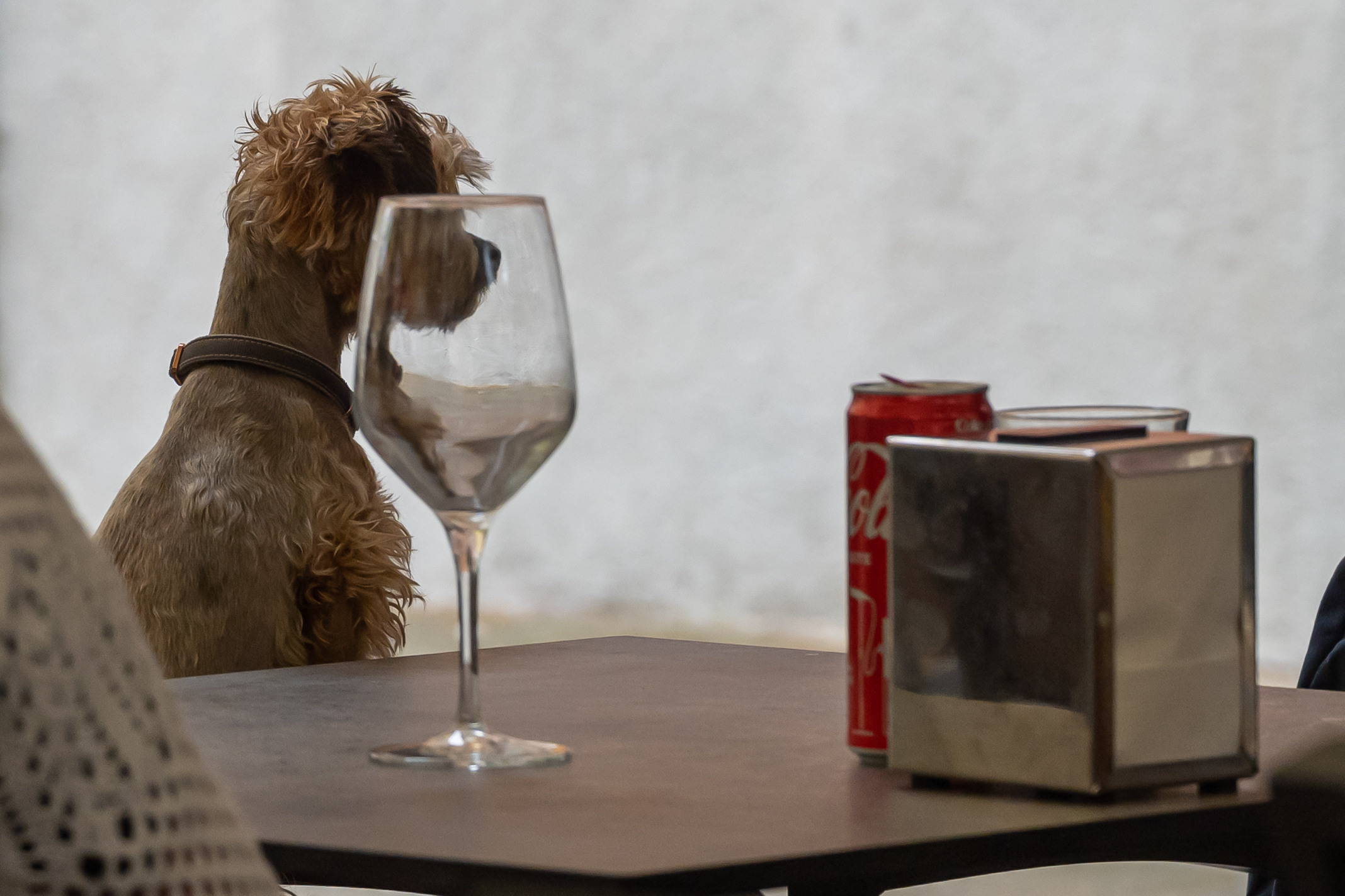 Dimitri Bakhtadze, 7 days in Italy. Dimitri Bakhtadze photographer