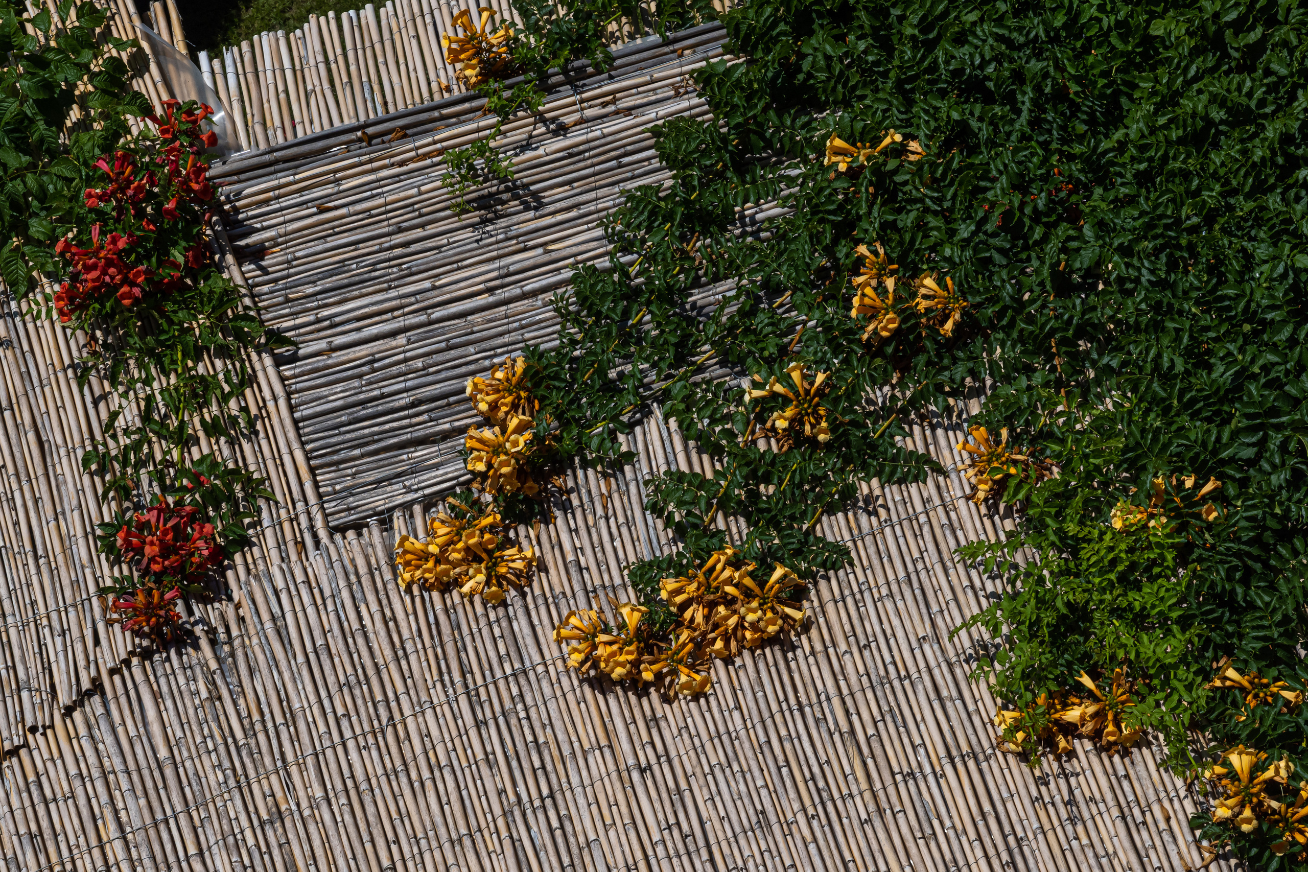 Dimitri Bakhtadze, 7 days in Italy. Dimitri Bakhtadze photographer