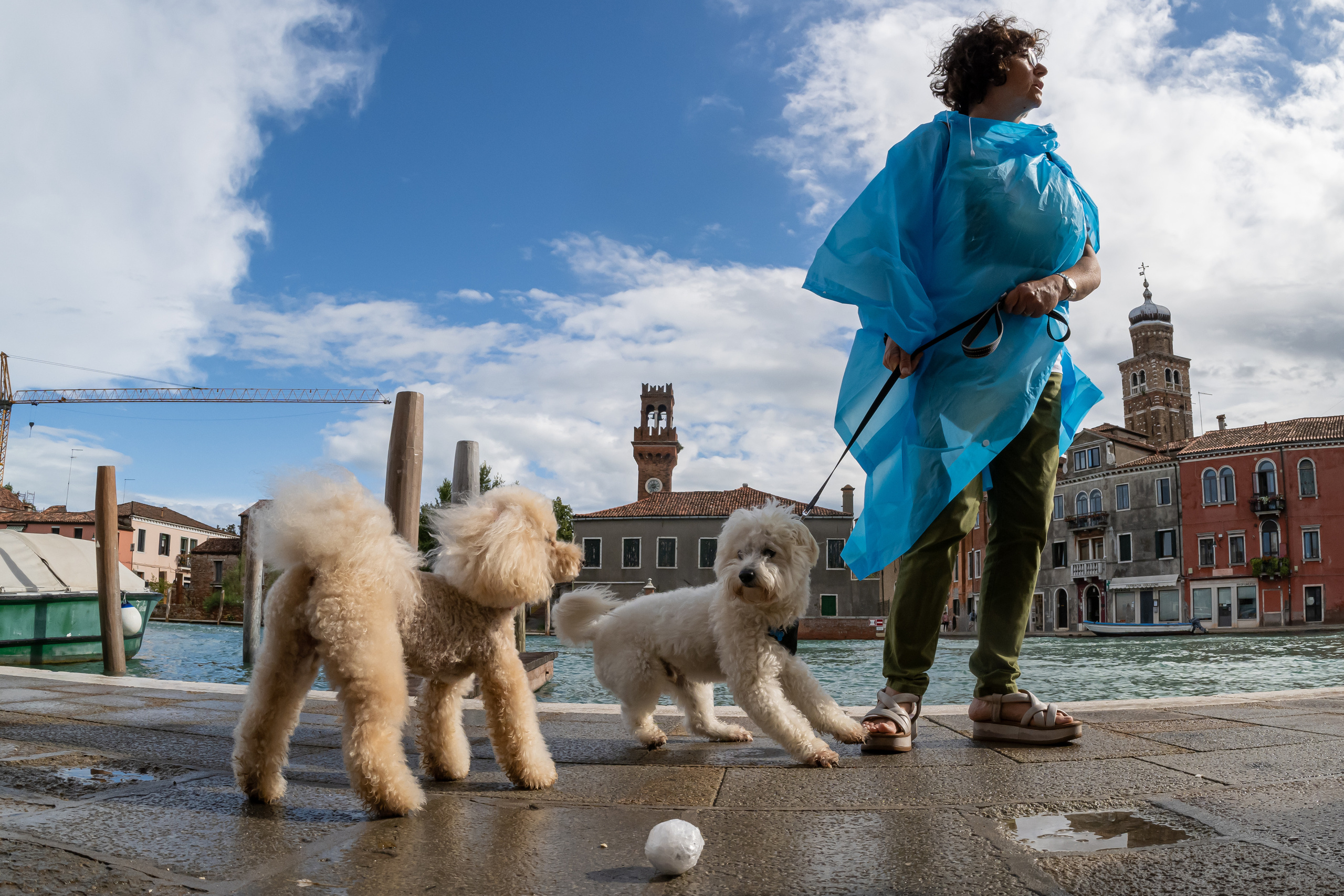 Dimitri Bakhtadze, 7 days in Italy. Dimitri Bakhtadze photographer