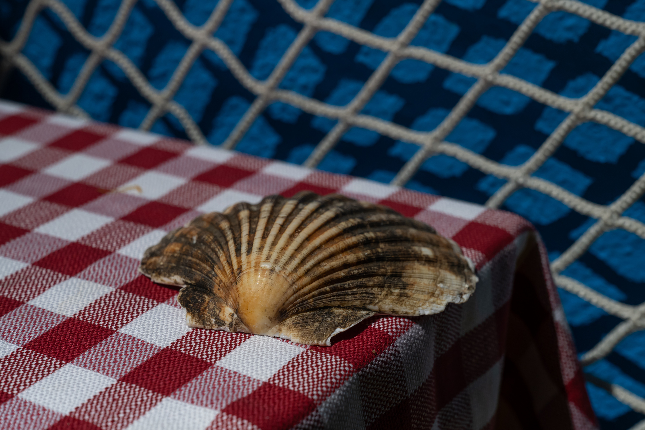 Dimitri Bakhtadze, 7 days in Italy. Dimitri Bakhtadze photographer