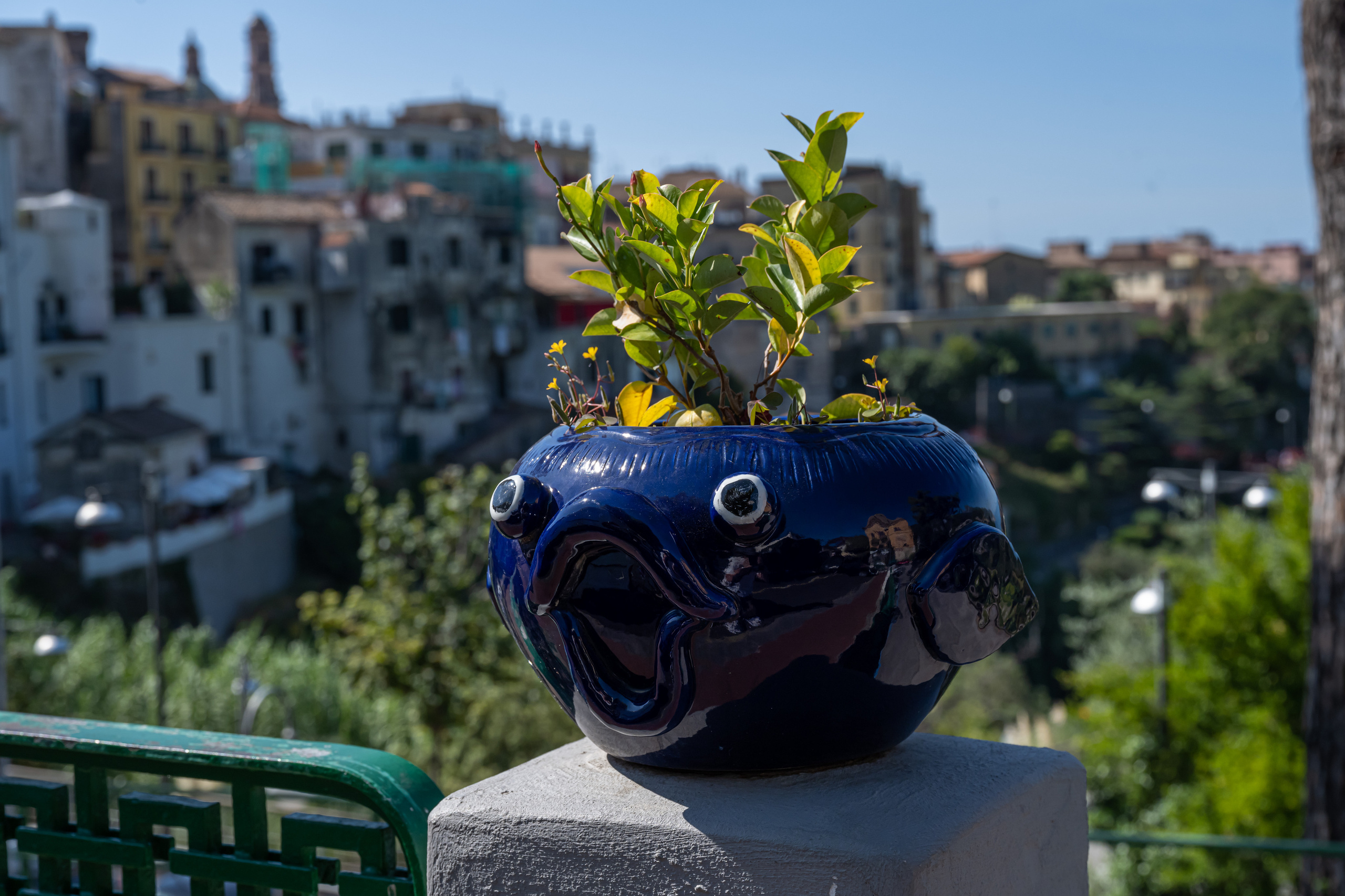 Dimitri Bakhtadze, 7 days in Italy. Dimitri Bakhtadze photographer