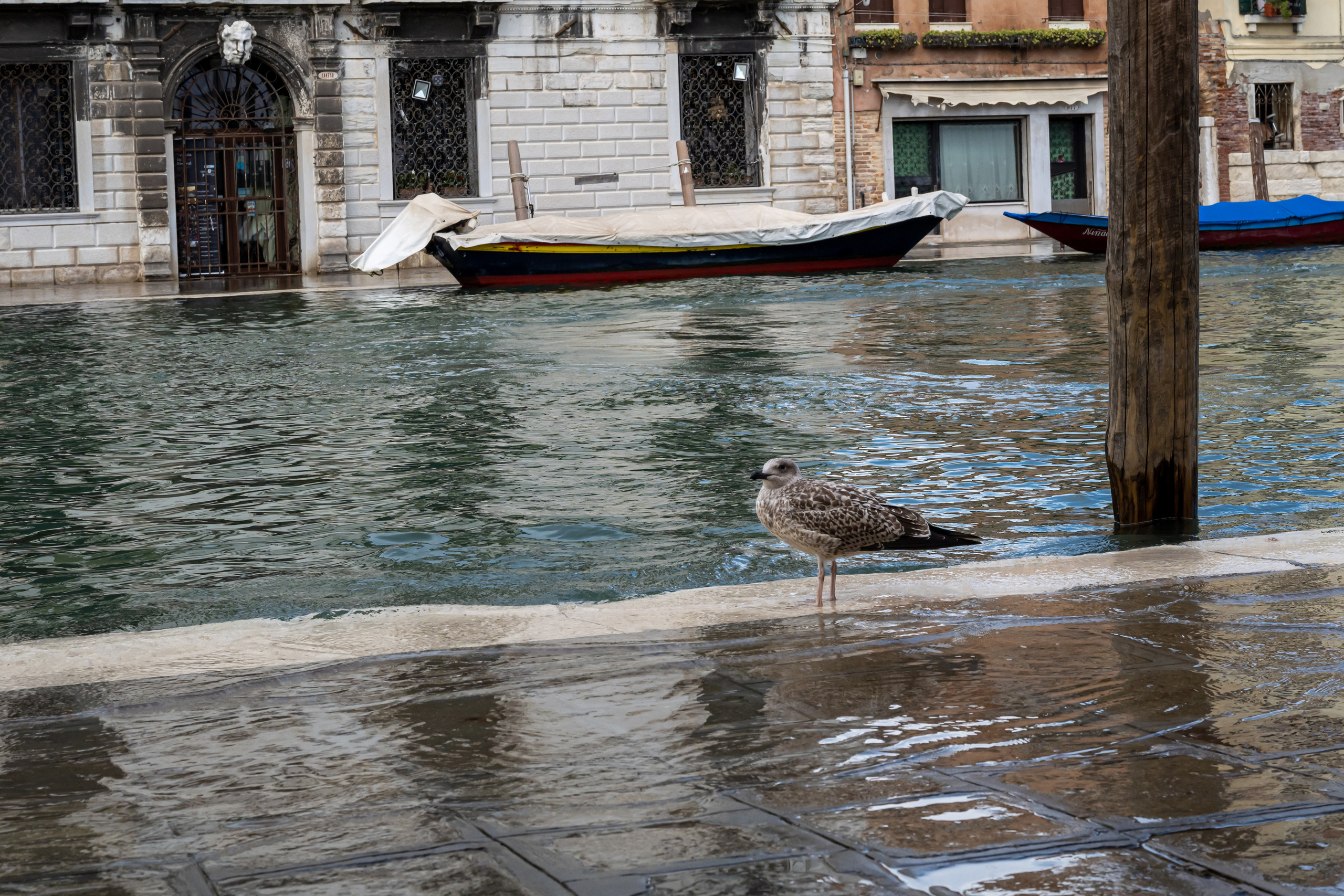 Dimitri Bakhtadze, 7 days in Italy. Dimitri Bakhtadze photographer