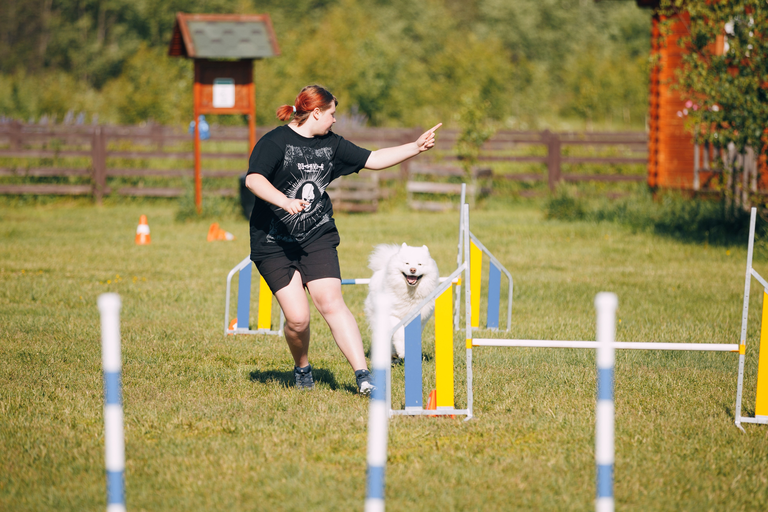 Кинологический лагерь в Горыныче. Фотограф анималист Кристина Карпова, Москва
