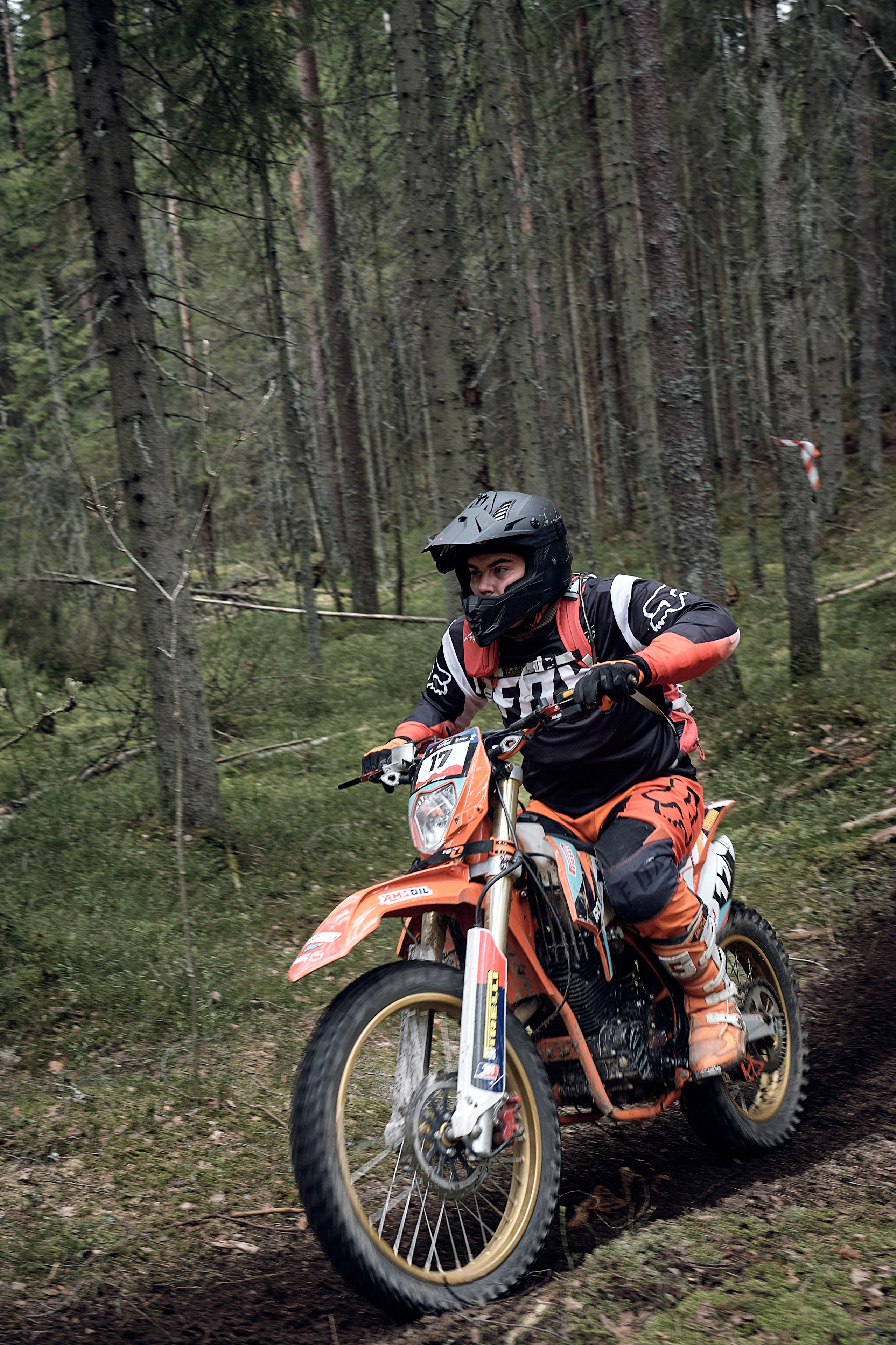 Репортажный фотограф в СПб и Гатчине. Свадебный фотограф в Санкт-Петербурге Гатчине и ЛО