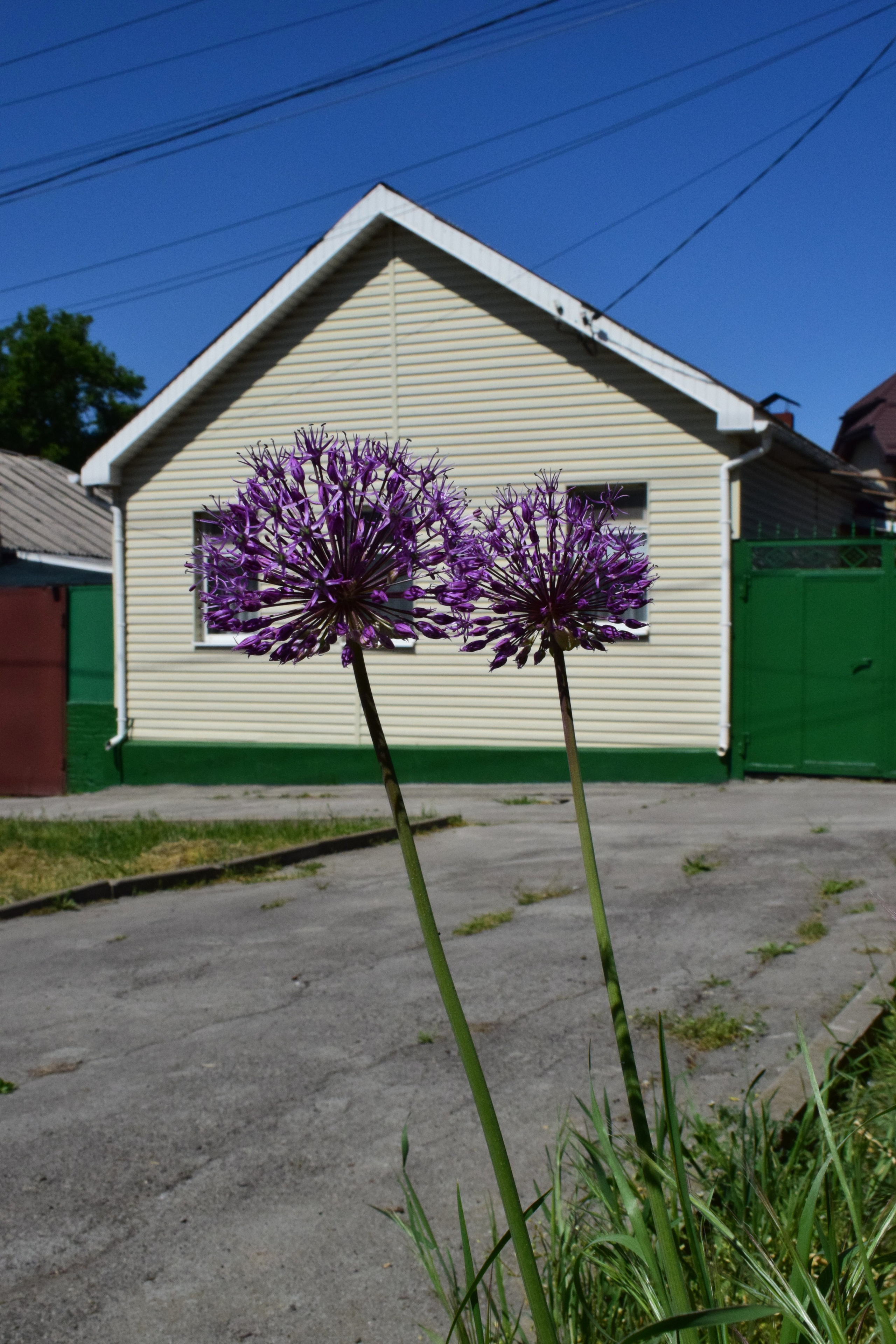 РОСТОВ. Фотограф Глеб Садов