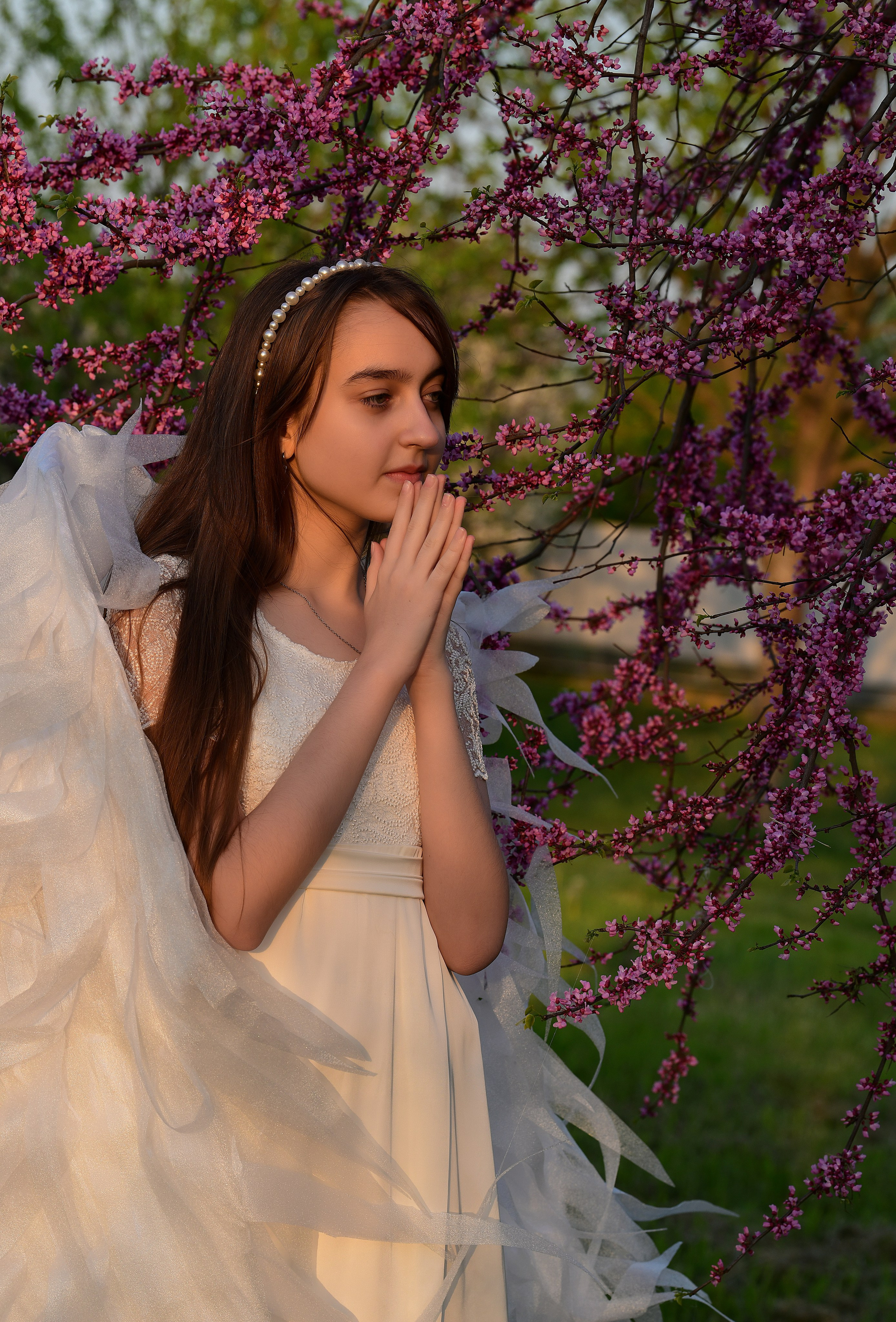 Крылатые истории. Главная