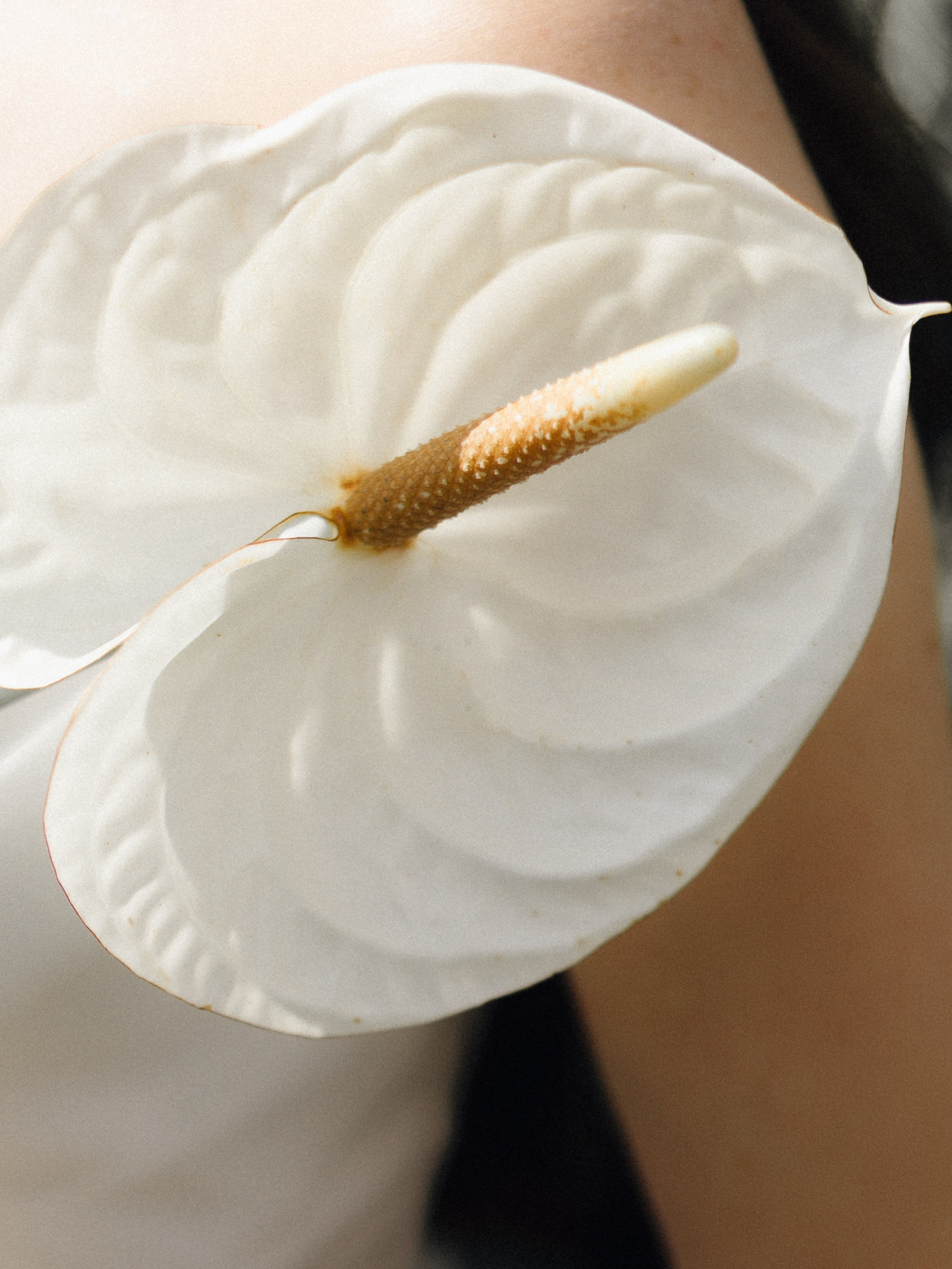 ОЛЬГА И ГЛЕБ, СВАДЕБНАЯ. Свадебный и индивидуальный фотограф в Челябинске Евгения Негодяева