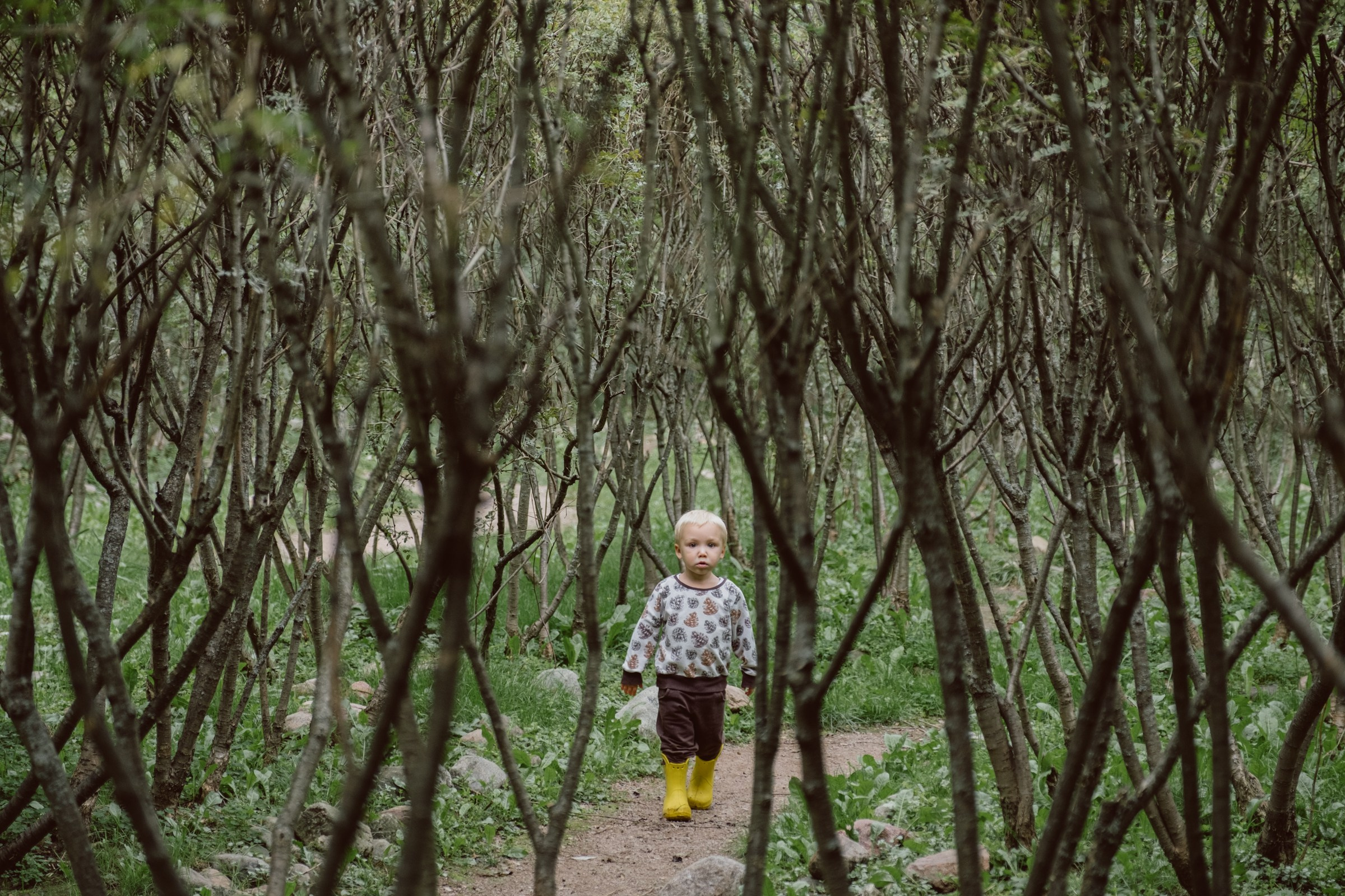 В парке. Свадебные и семейные фотографы в Москве Максим и Оксана Первомай