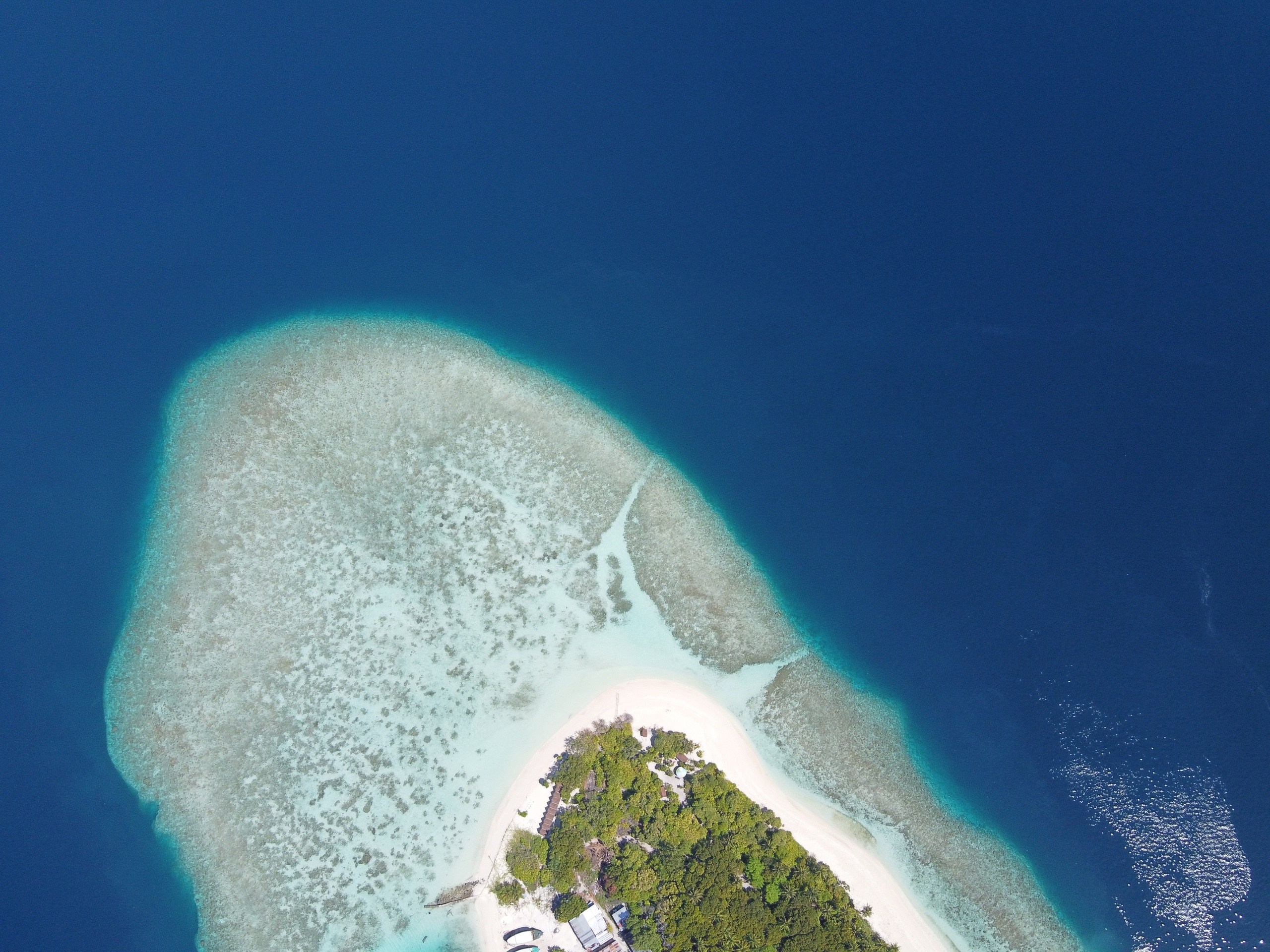 Пейзажи. Фотограф Мельник Ирина. Москва