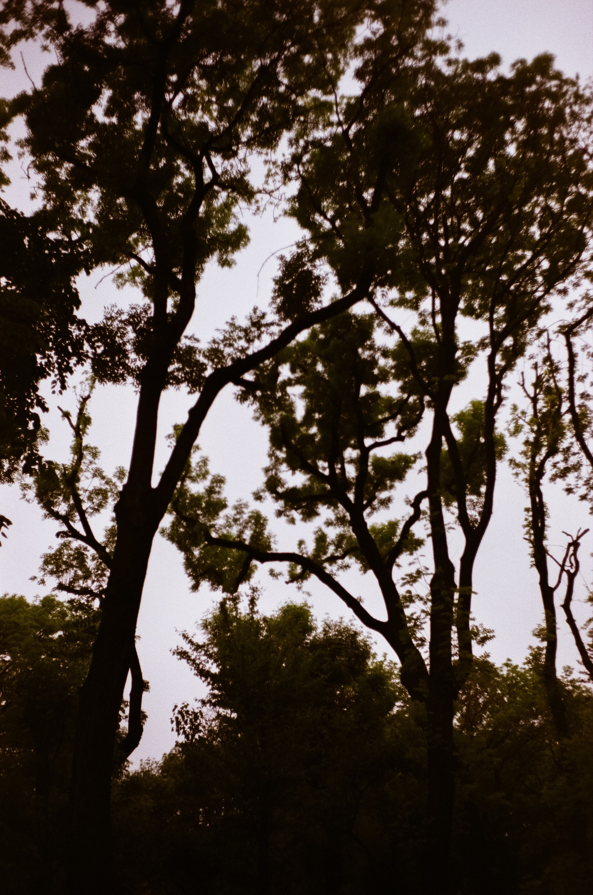 Ессентуки / 4 мая 2024 года / Minox 35GT / Konica VS Super 200