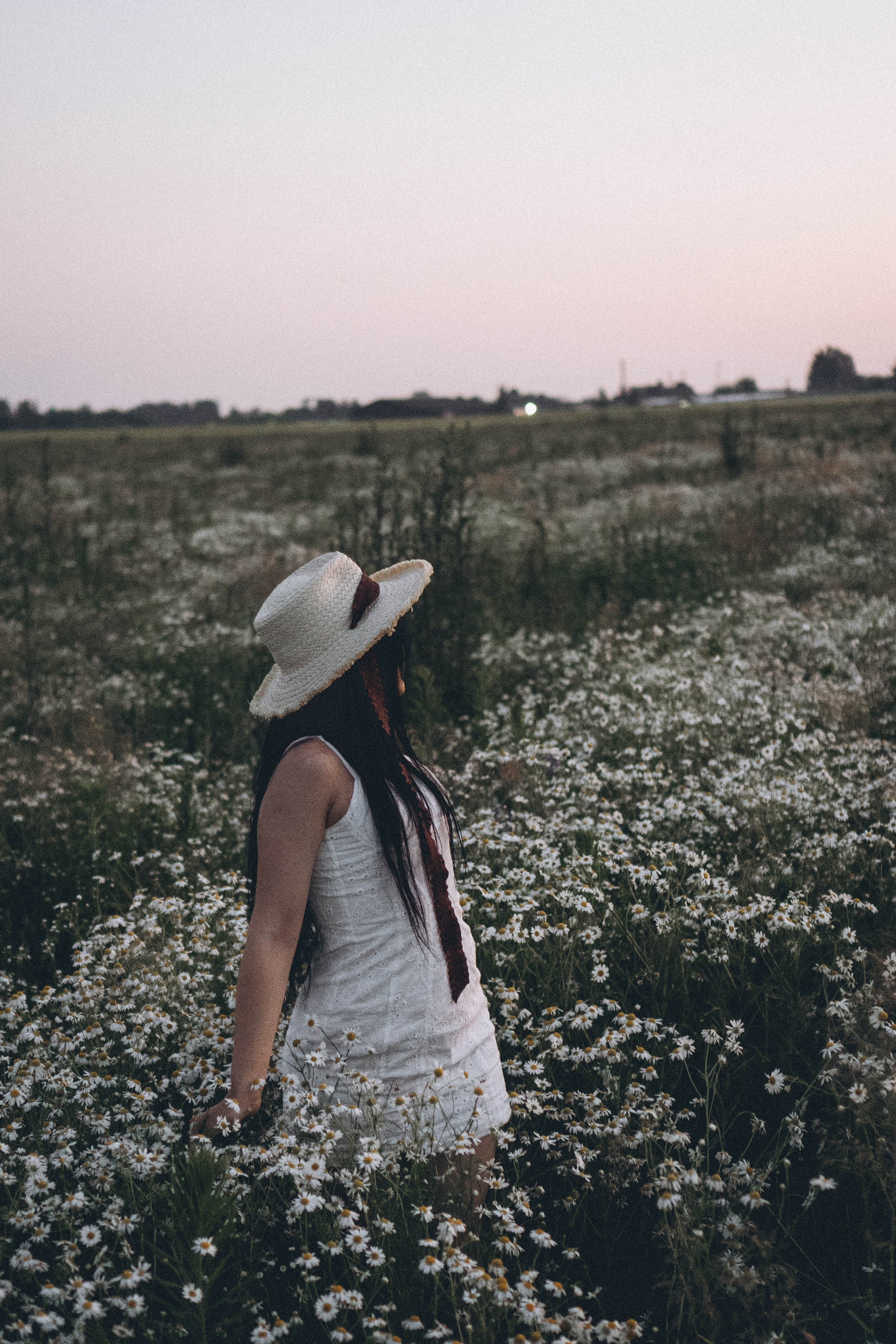Ромашковое поле. Профессиональный фотограф, Санкт-Петербург — Виктория Богомолова