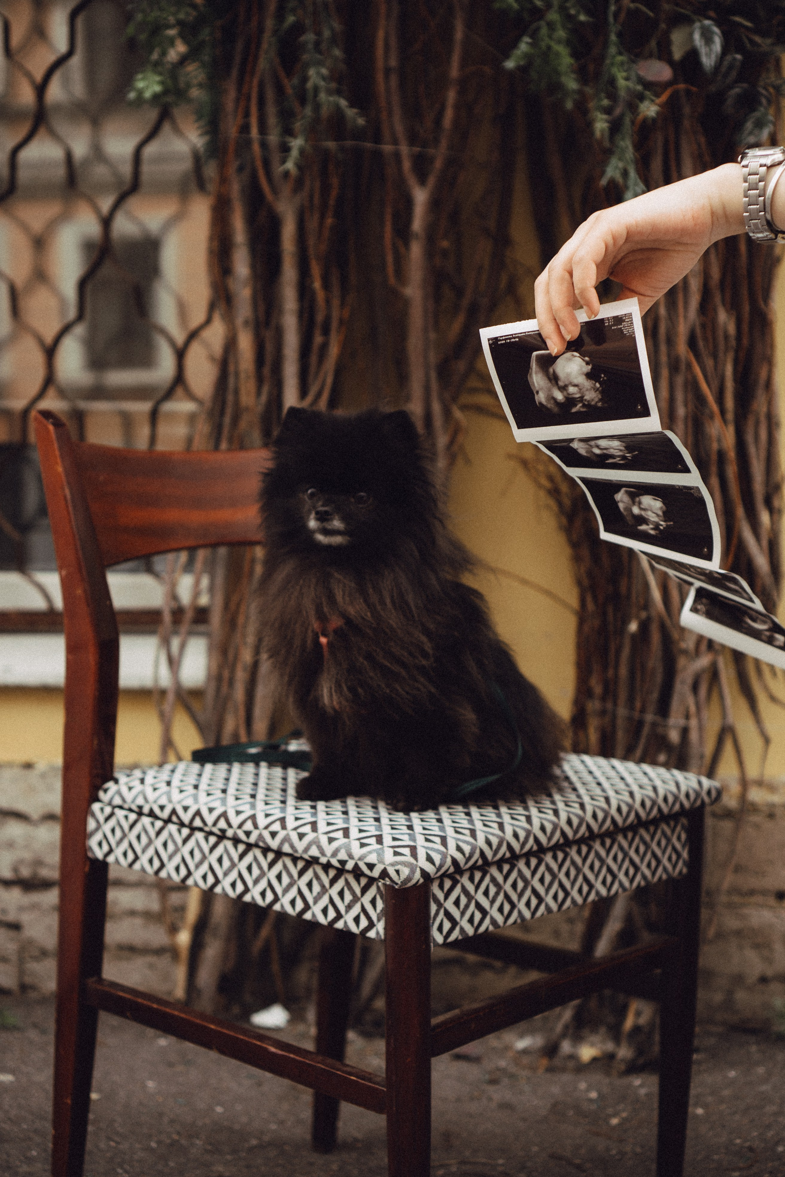 Беременность (только часть фото по желанию клиентов могу показать)). Профессиональный фотограф, Санкт-Петербург — Виктория Богомолова