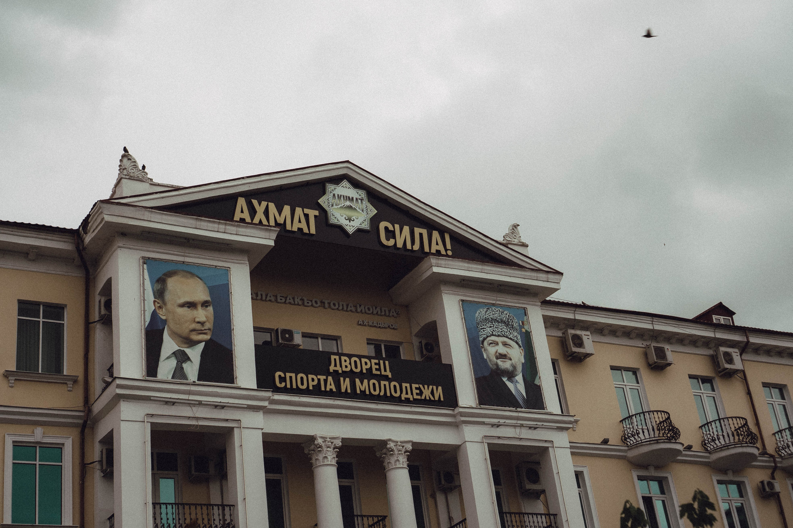 Кавказ. Профессиональный фотограф, Санкт-Петербург — Виктория Богомолова