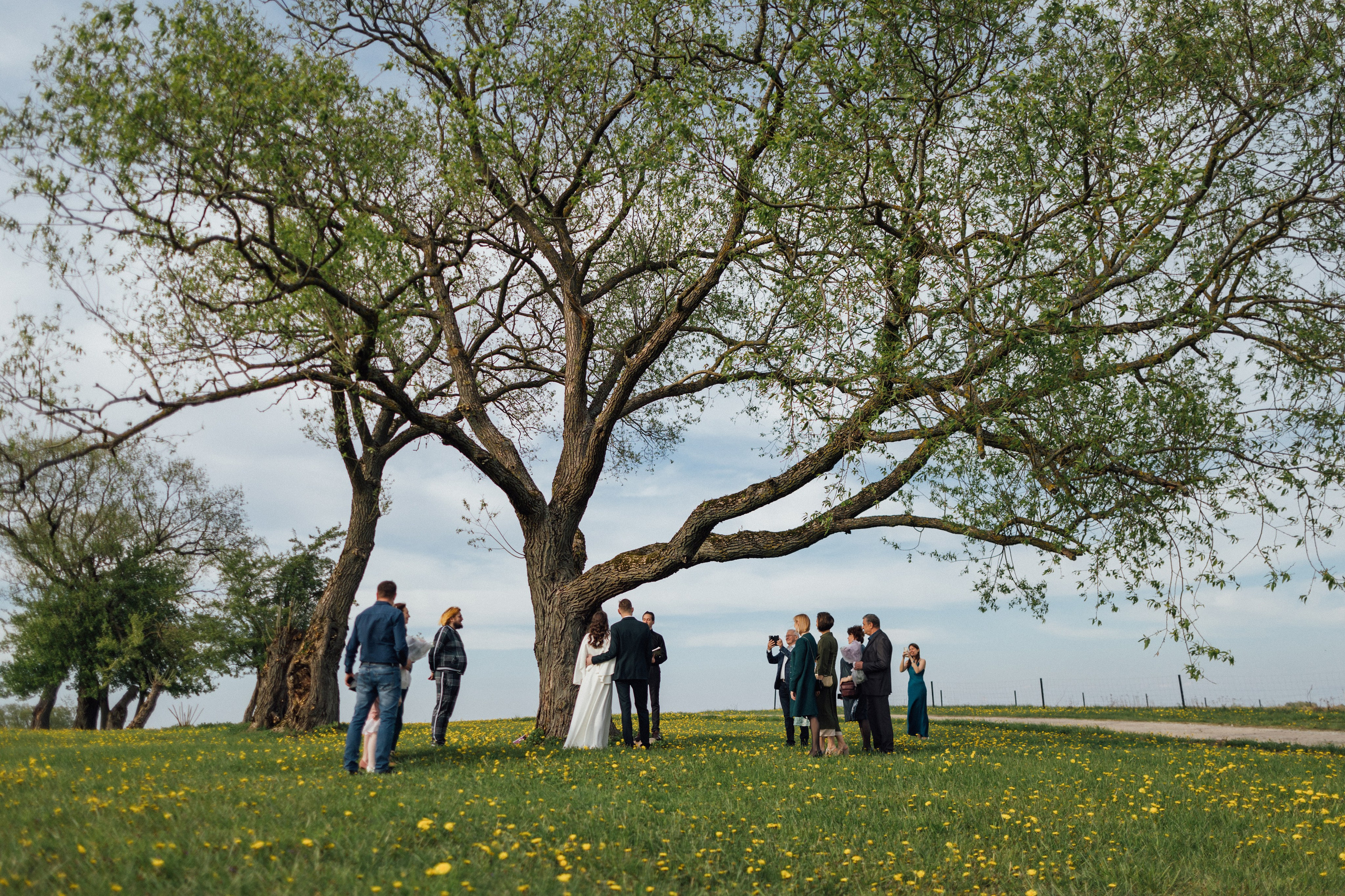 Свадьба Вера и Сергей. Главная