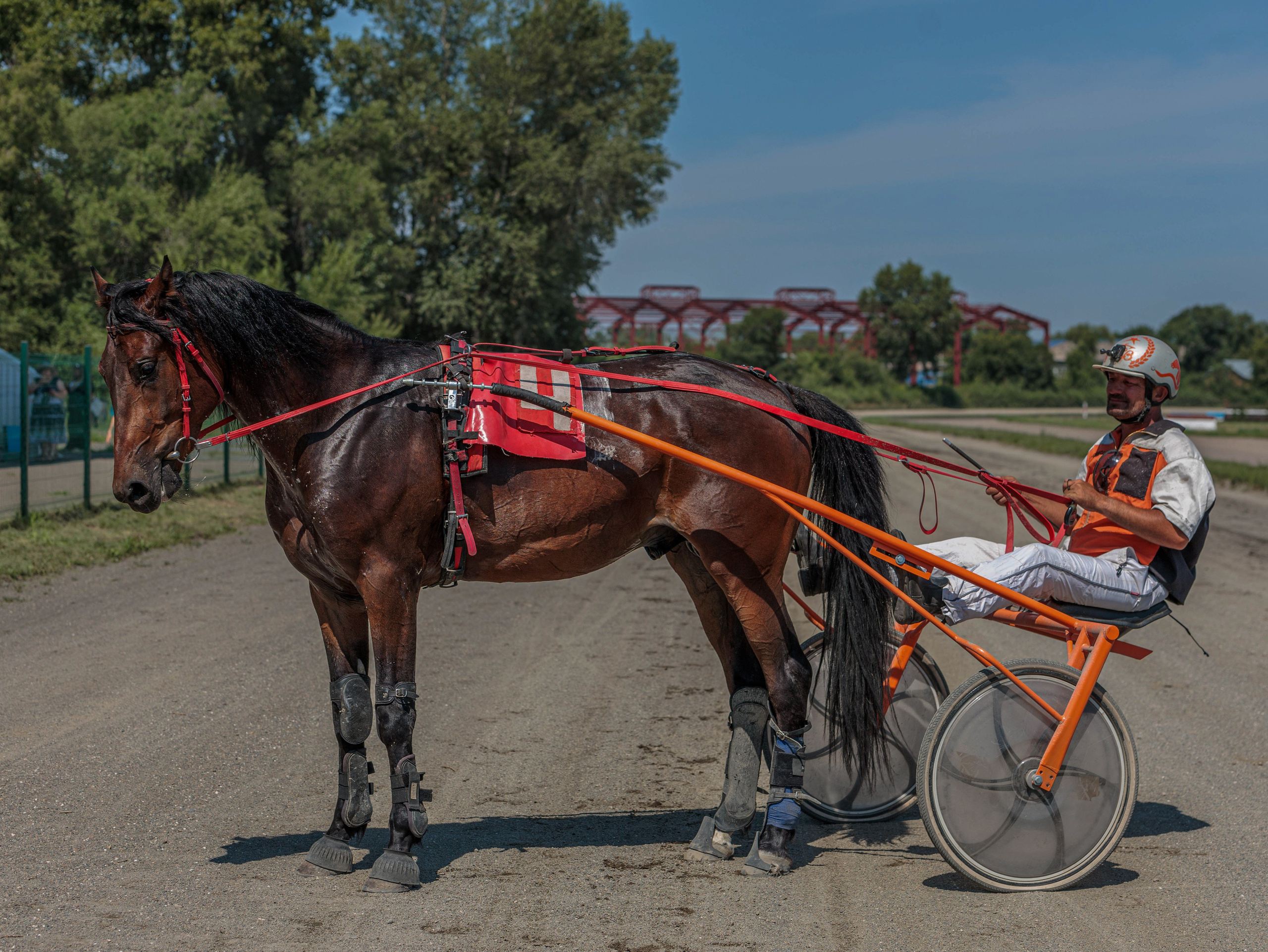 Зарисовки Абаканский ипподром 2025. Конный фотограф в Красноярске — Любовь Похабова