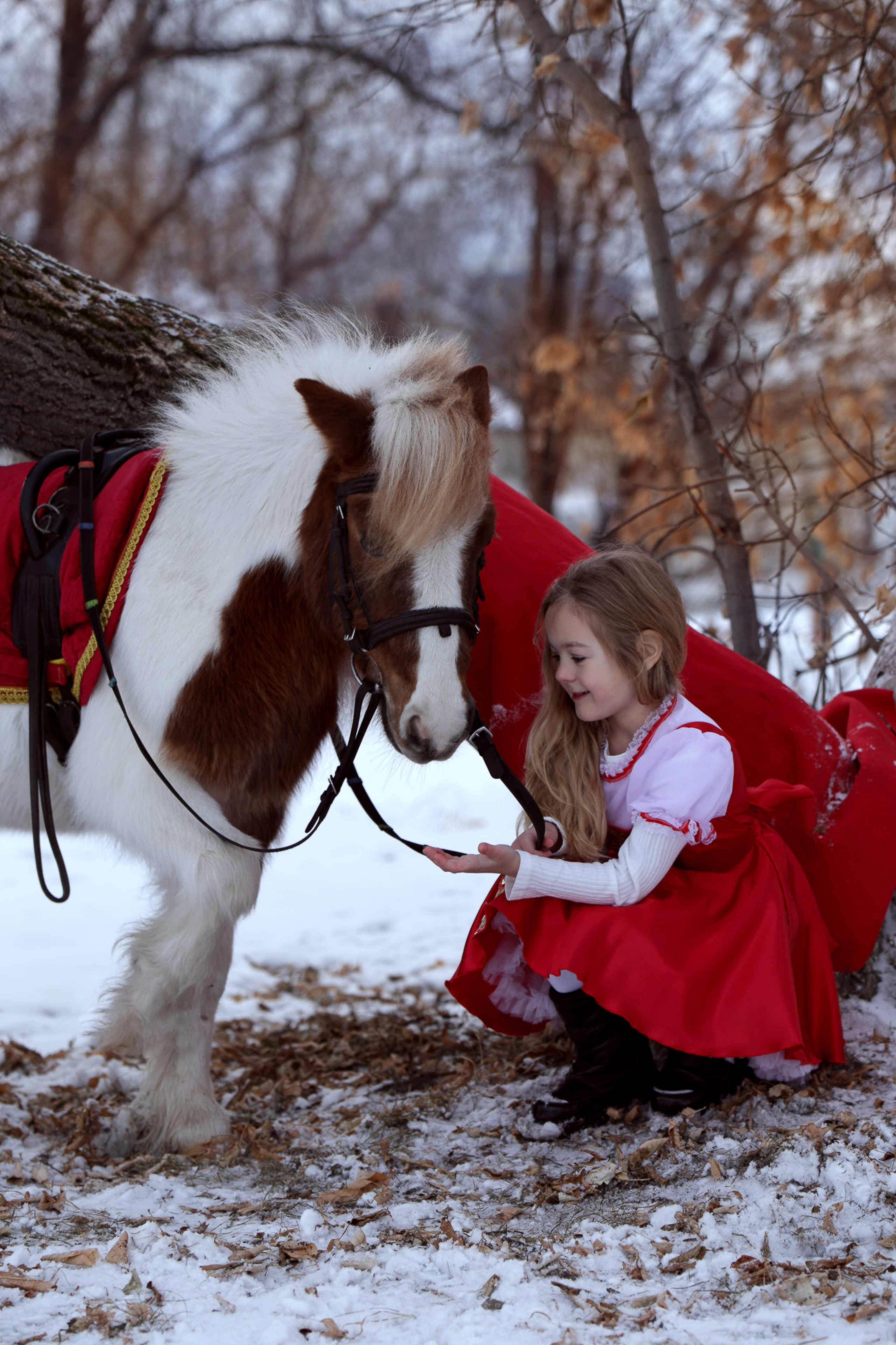 КрылатыйПони. Конный фотограф в Красноярске — Любовь Похабова
