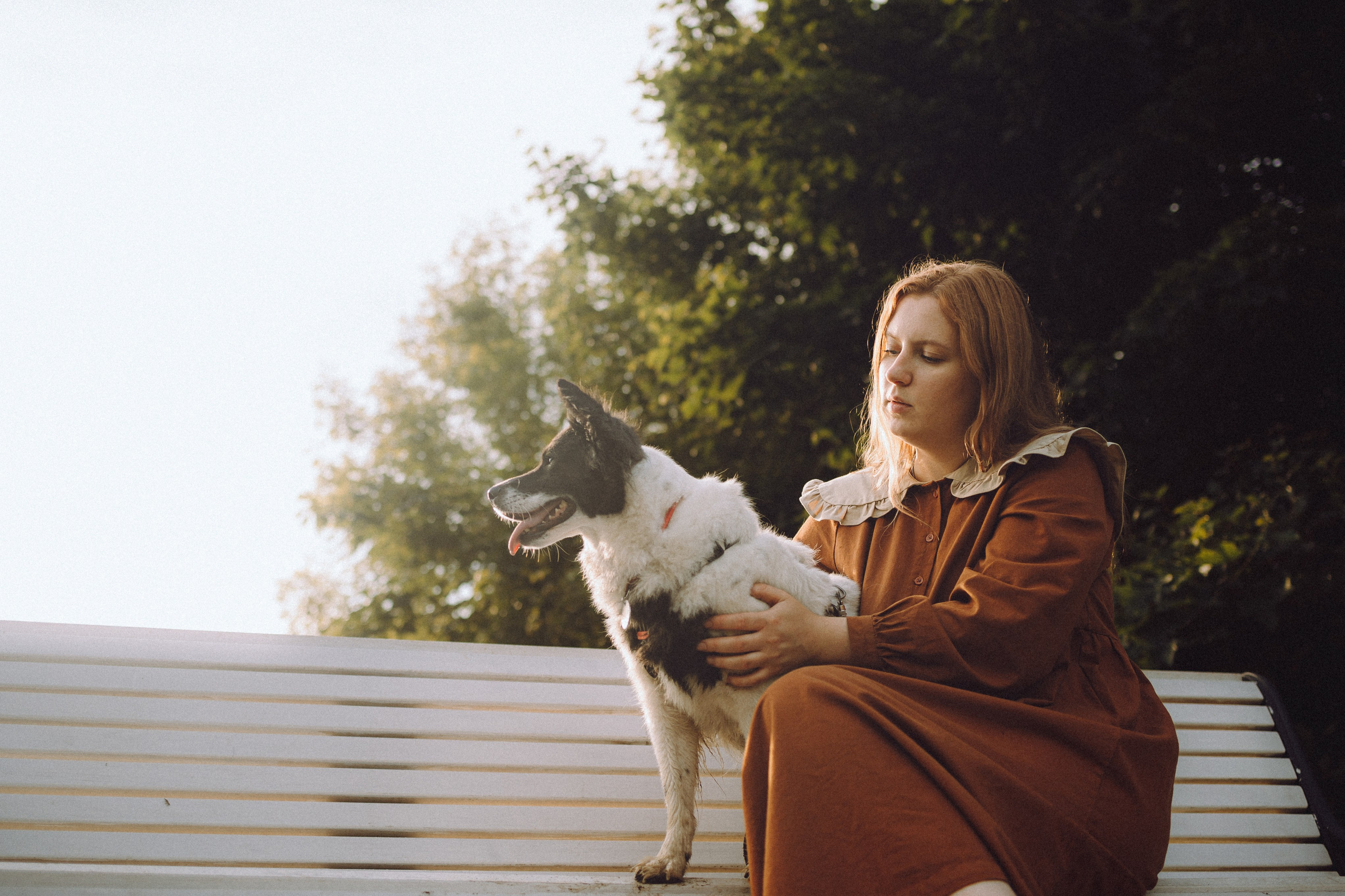 Фифа, Кнопка, Бублик и их семья