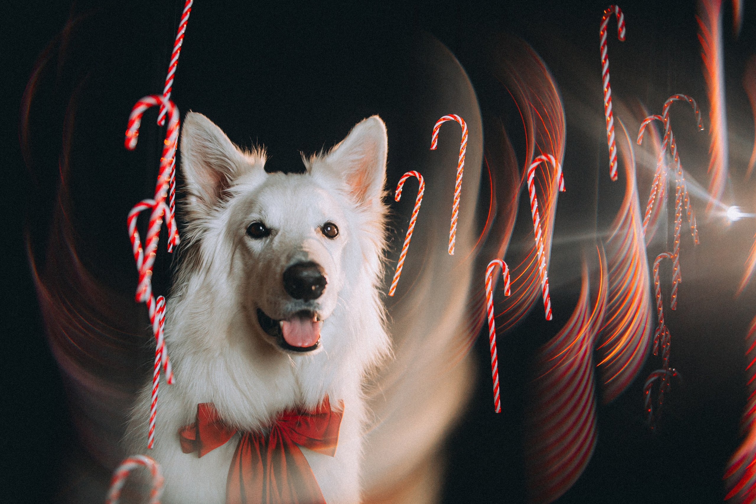 Джек, Бет и Кову