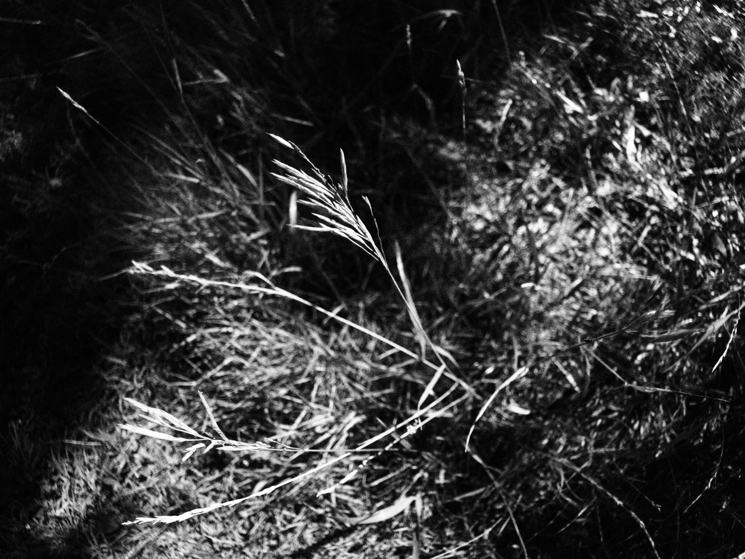 Промежуточные моменты (2023)