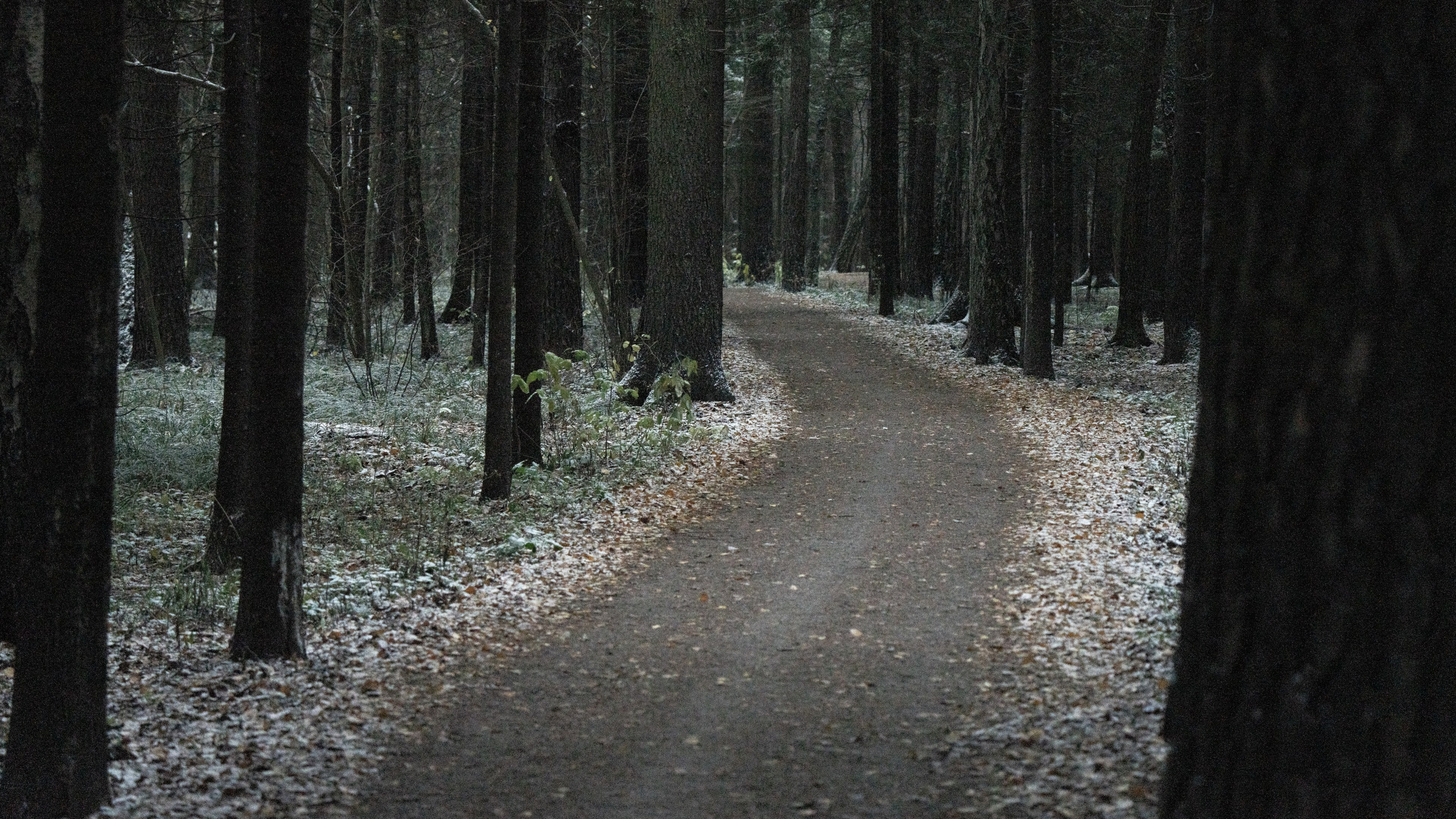 ПЕРЕДЕЛКИНО. ПОБУДЬ ЗДЕСЬ И ЦЕЛЕЕ БУДЕТ ЭТОТ МИР