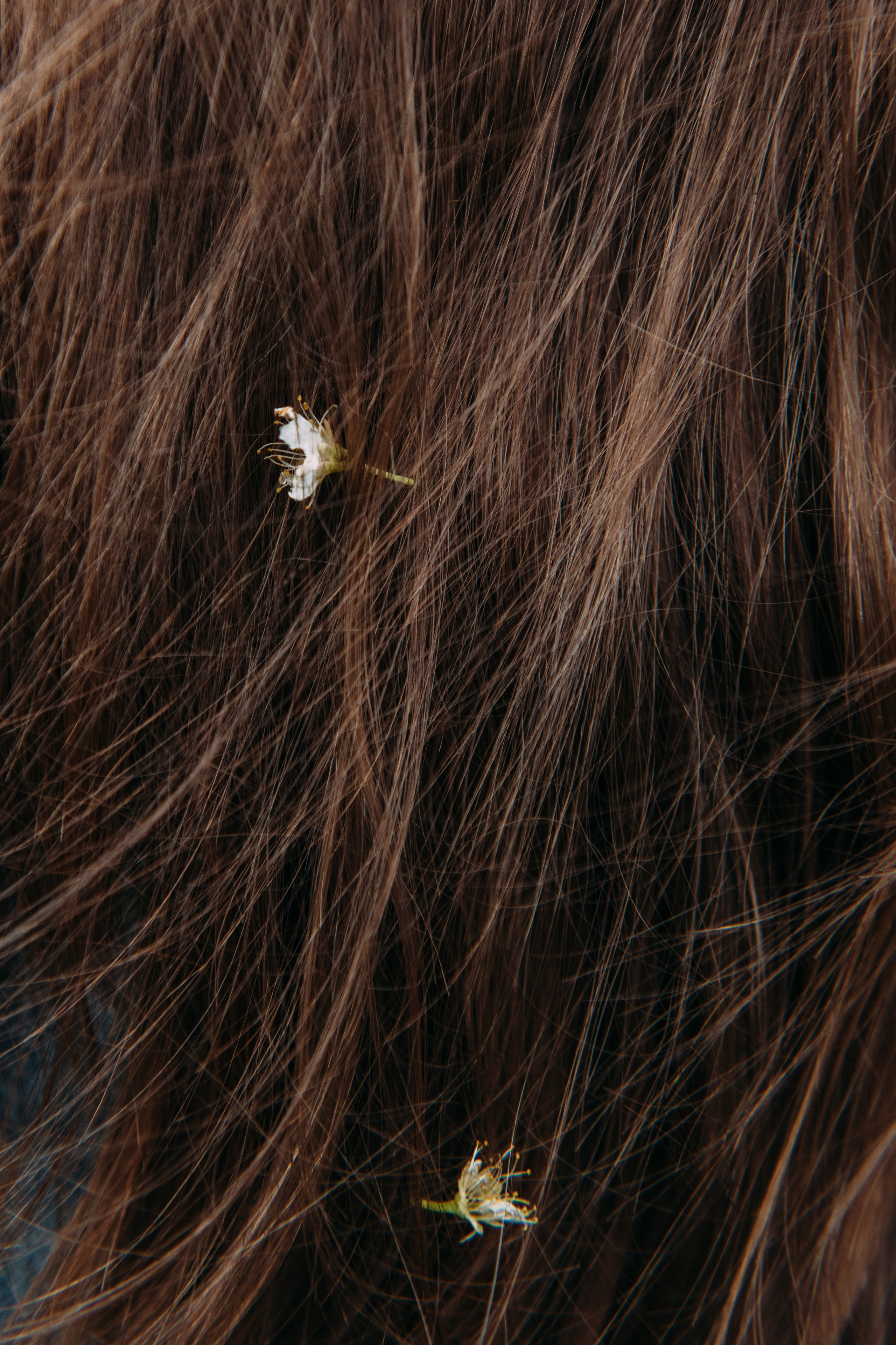 Семейная фотосессия. Фотограф Валерия Голубева (Миронова)