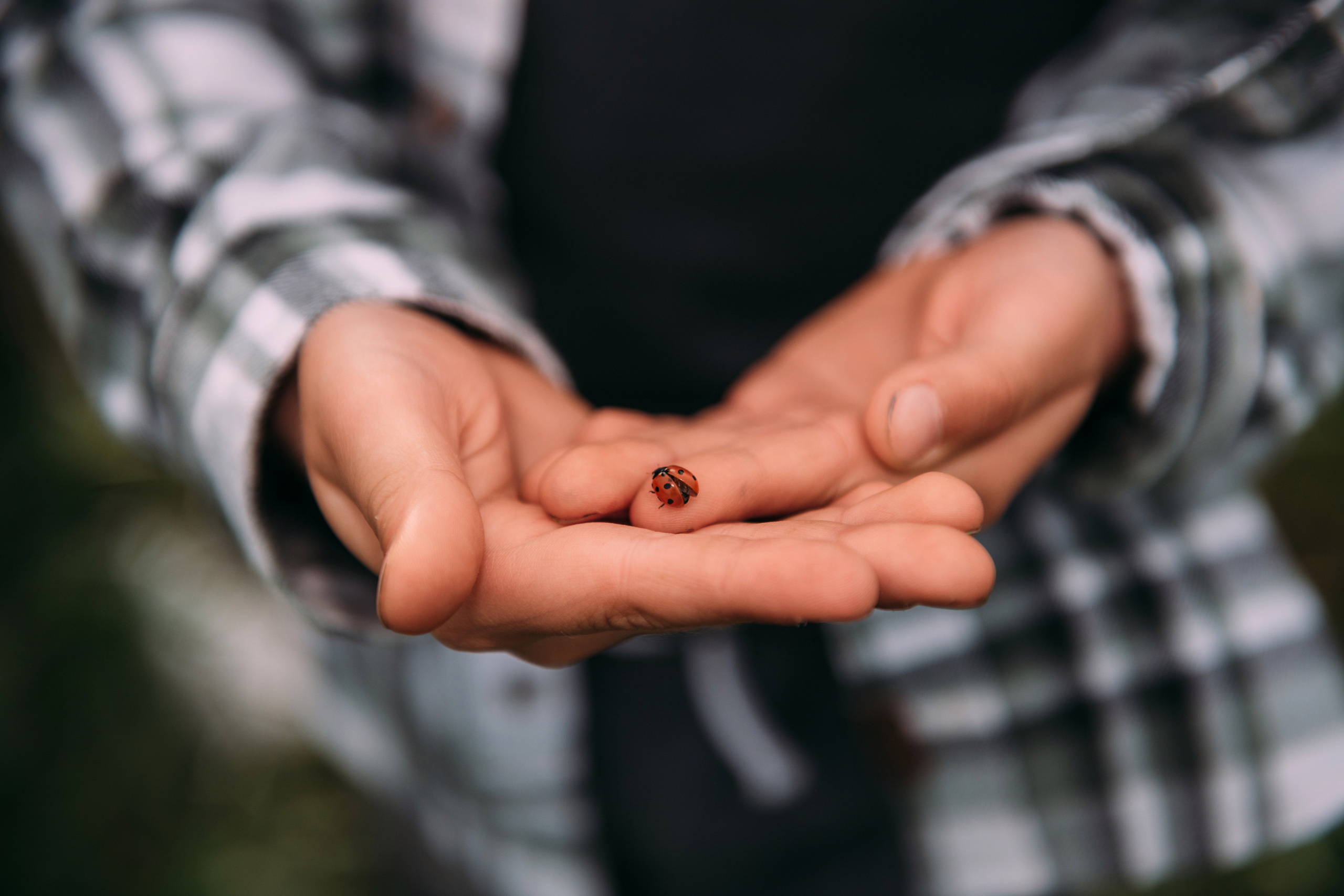 Семейная фотосессия. Фотограф Валерия Голубева (Миронова)